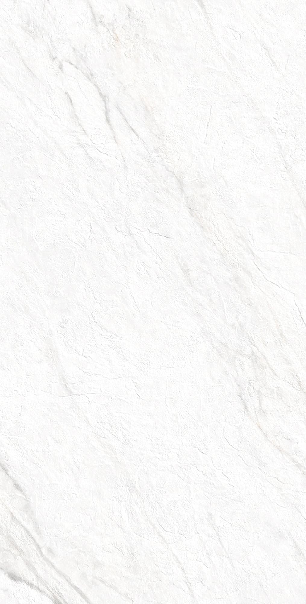 LAZIO BIANCO — фото 9