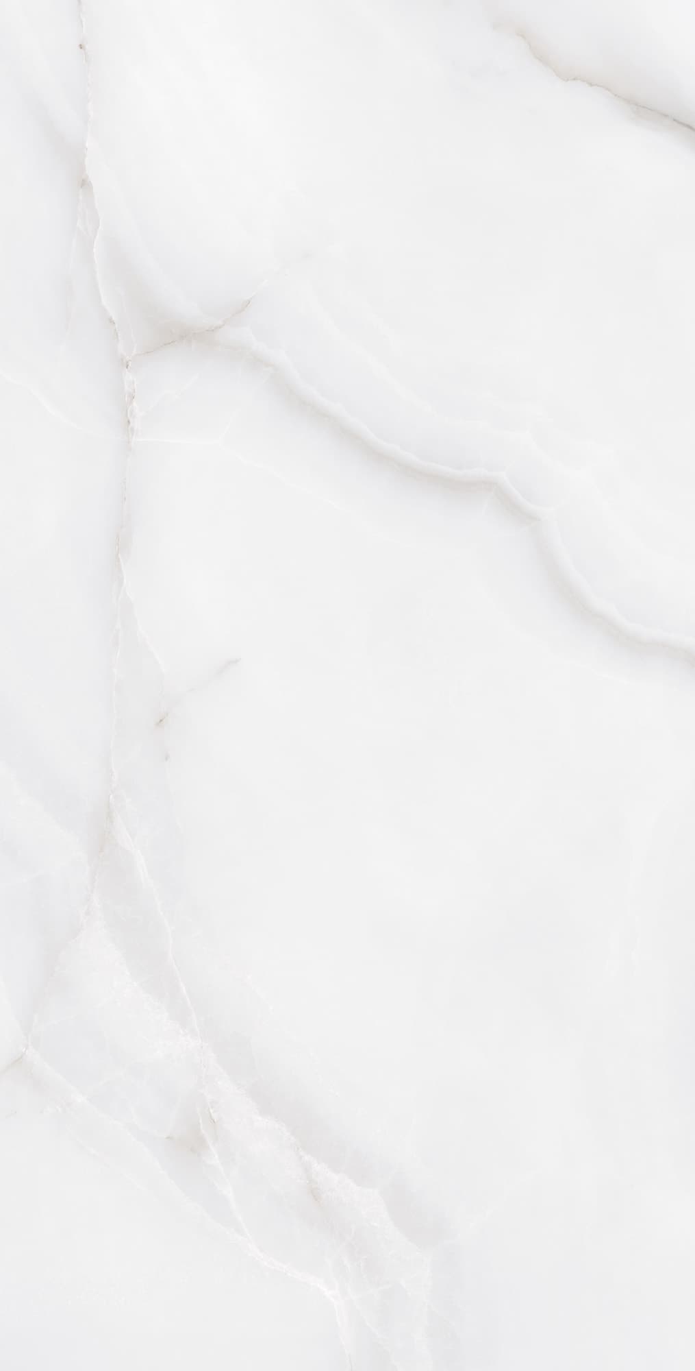 FEATHER ONYX — фото 7