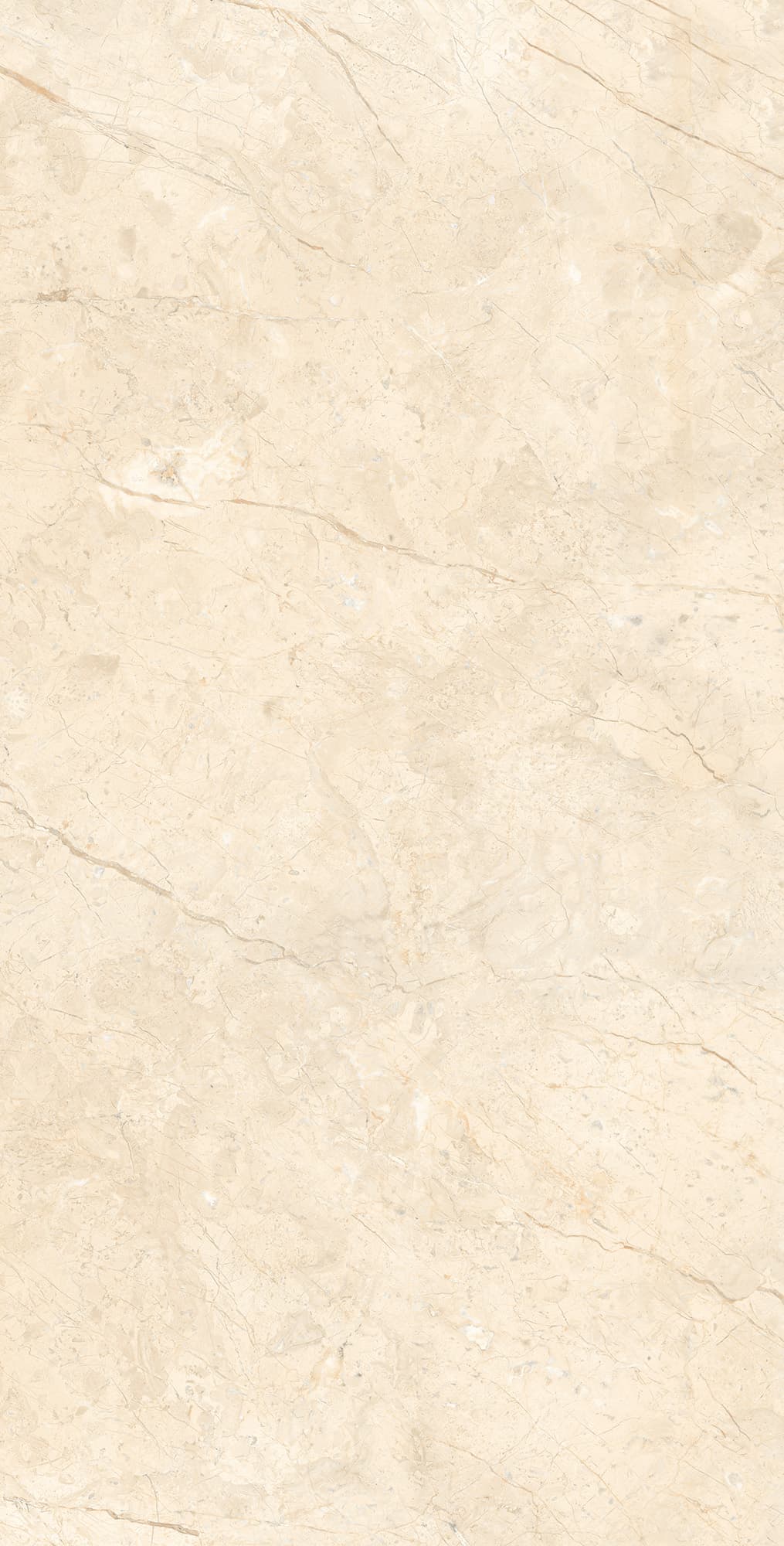 MARCUS CREMANO — фото 4