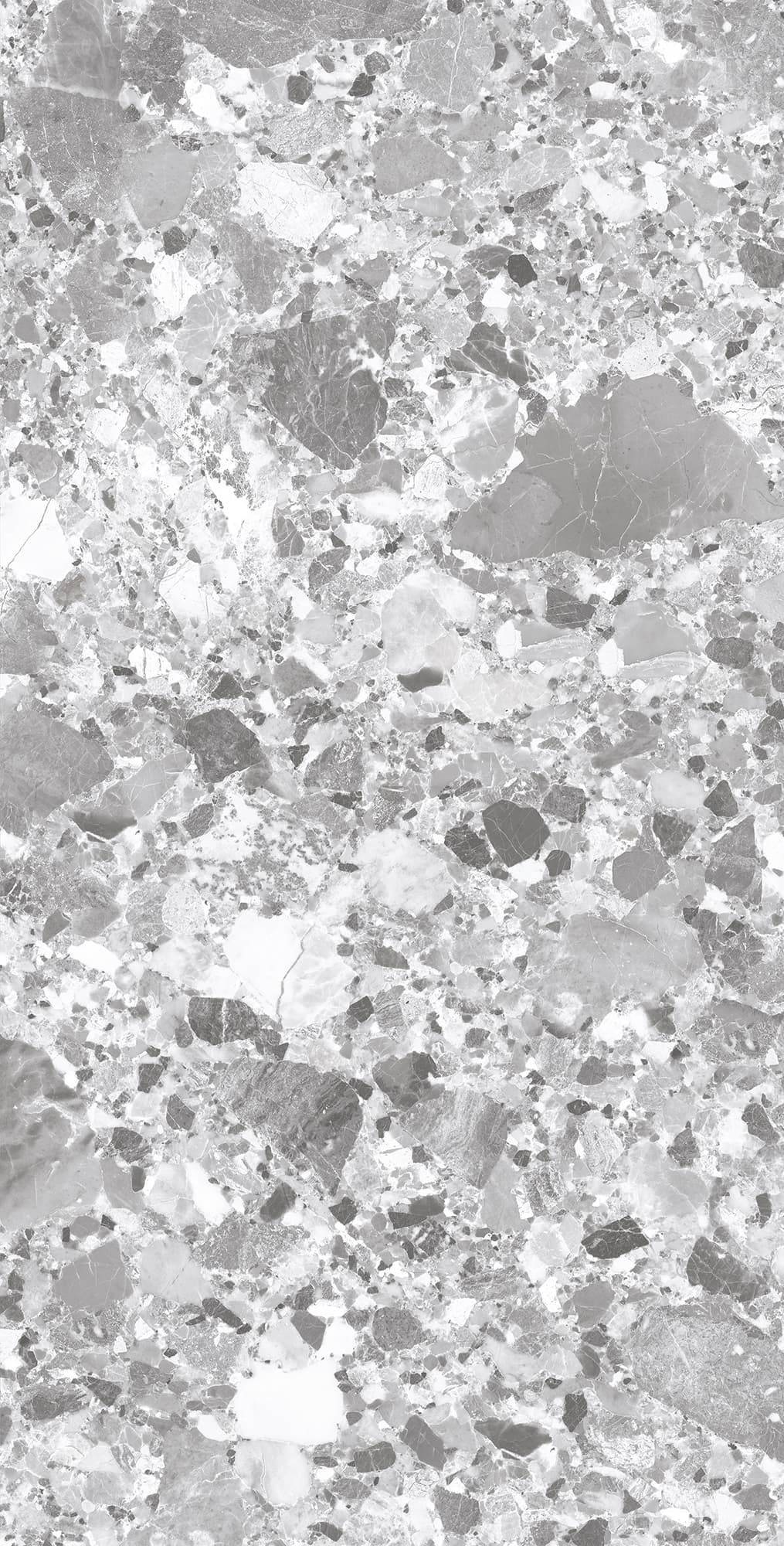 TERRAGONA SILVER SOLIDO — фото 9