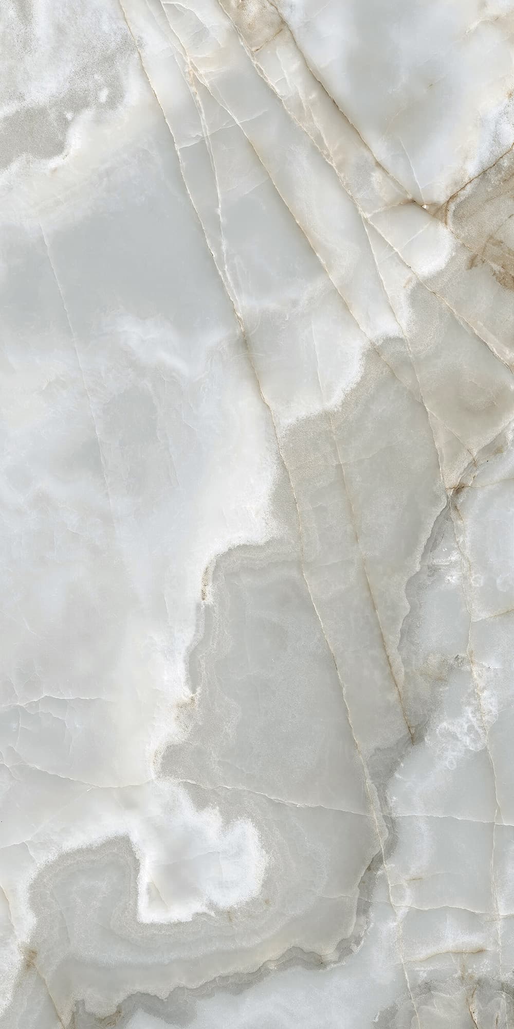 REX ONYX BLUE — фото 6