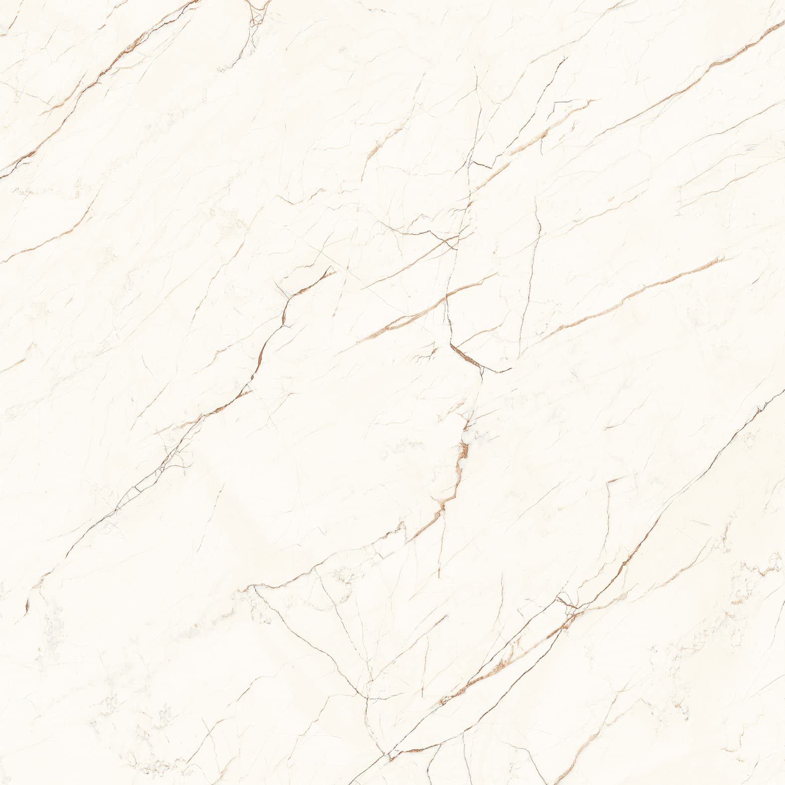 CEASAR — фото 10