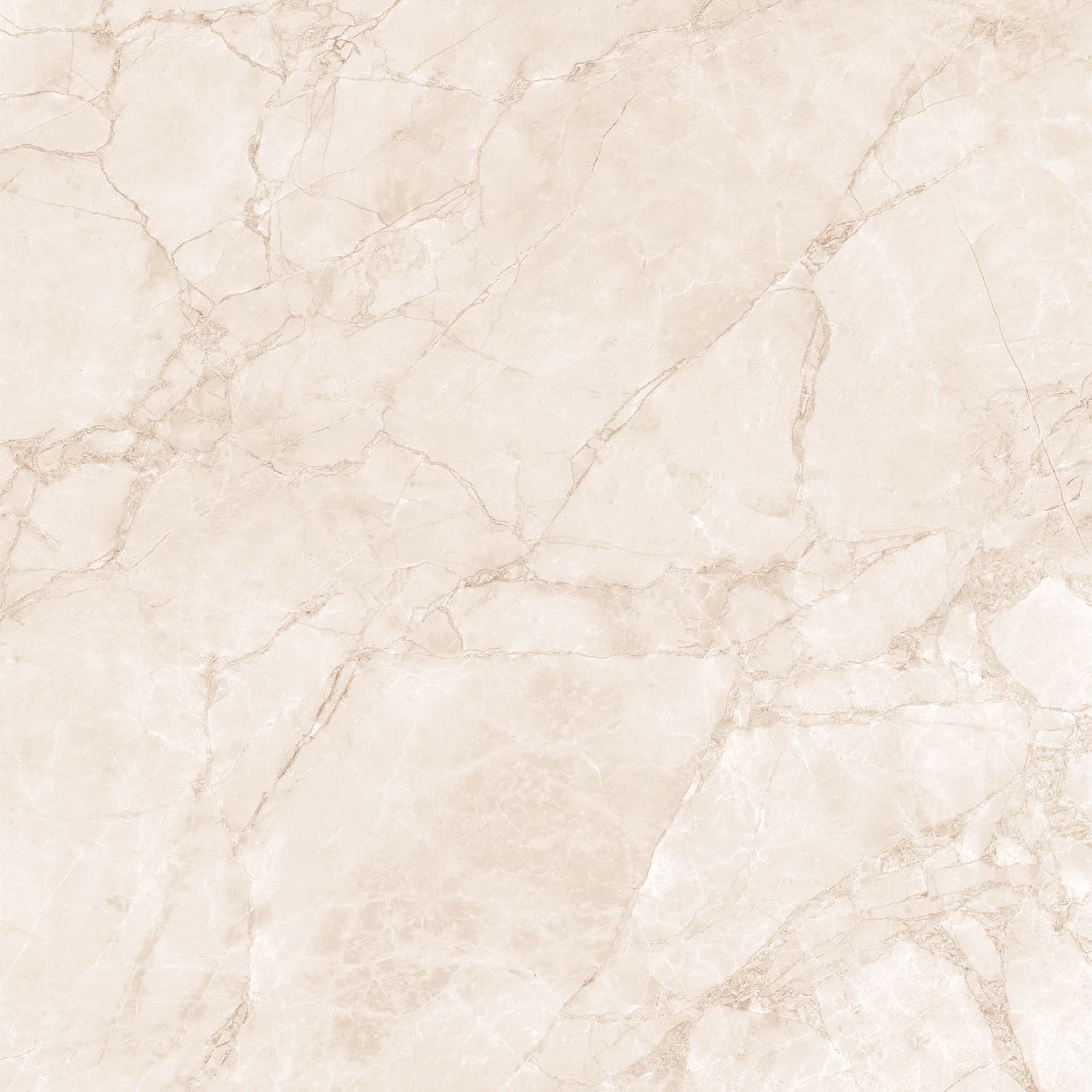 ARCTIC PEARL — фото 7