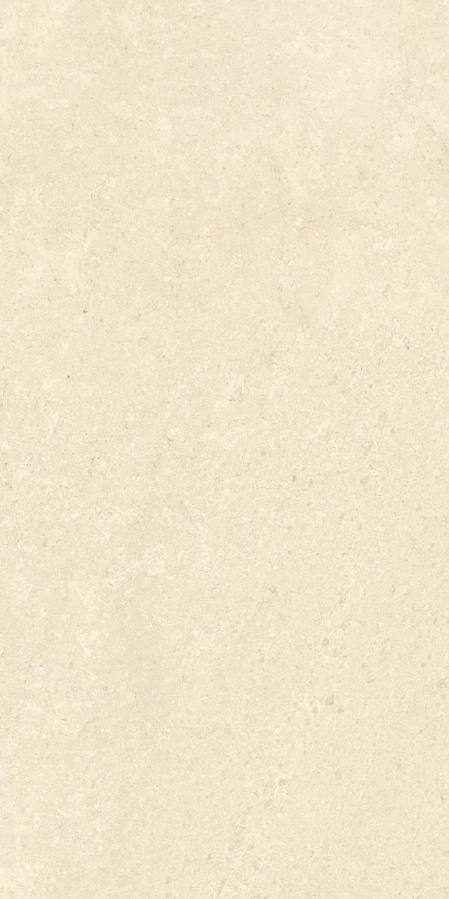 Керамогранит K948598R0001VTER SandStone Песочный Матовый R10A Ректификат 60х120 — фото 9