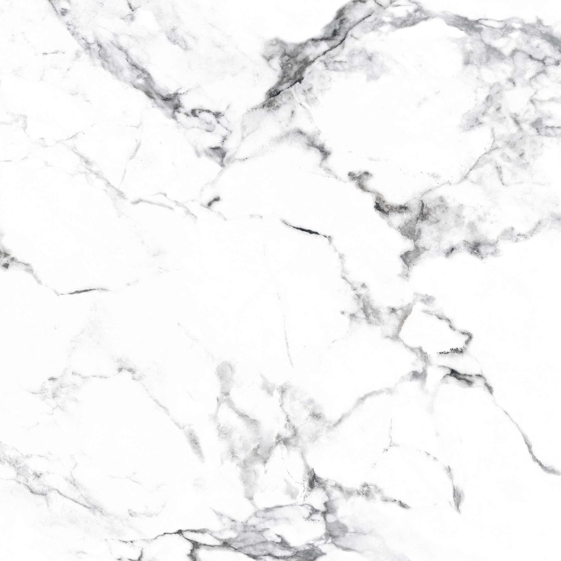 BORGHINI SILVER — фото 10