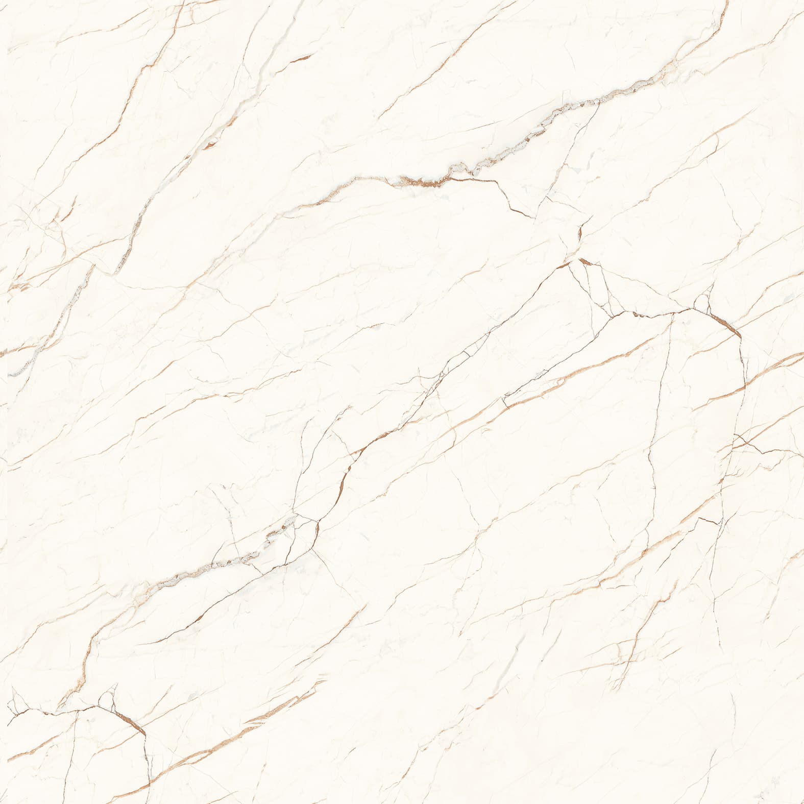 CEASAR — фото 7