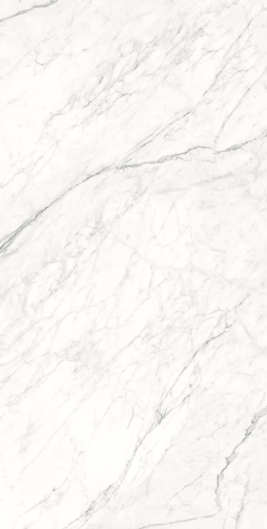 MONTESA WHITE — фото 7