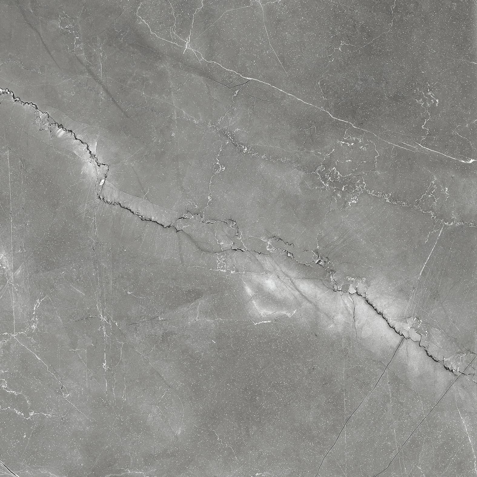 PULPIS NERO — фото 6