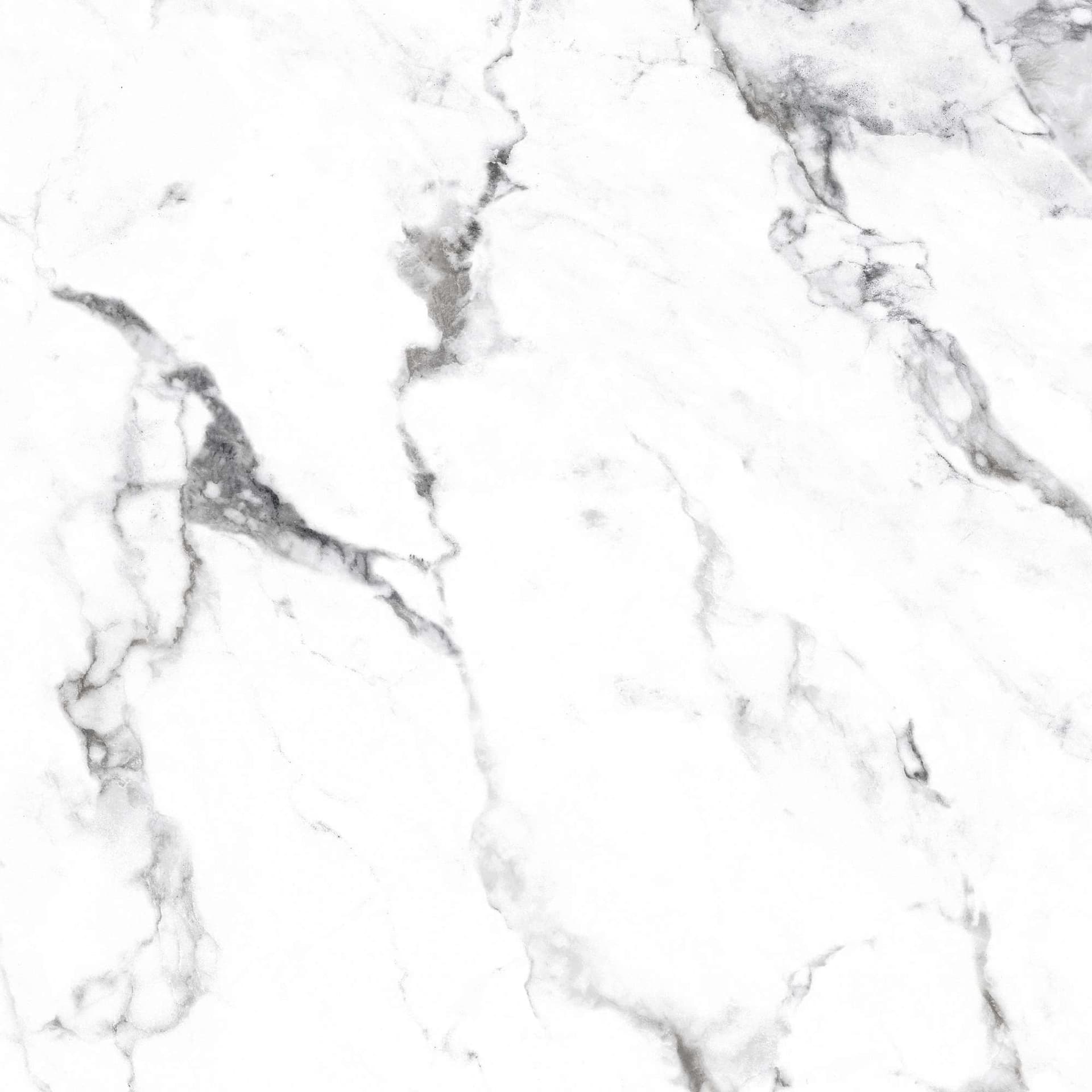 BORGHINI SILVER — фото 11