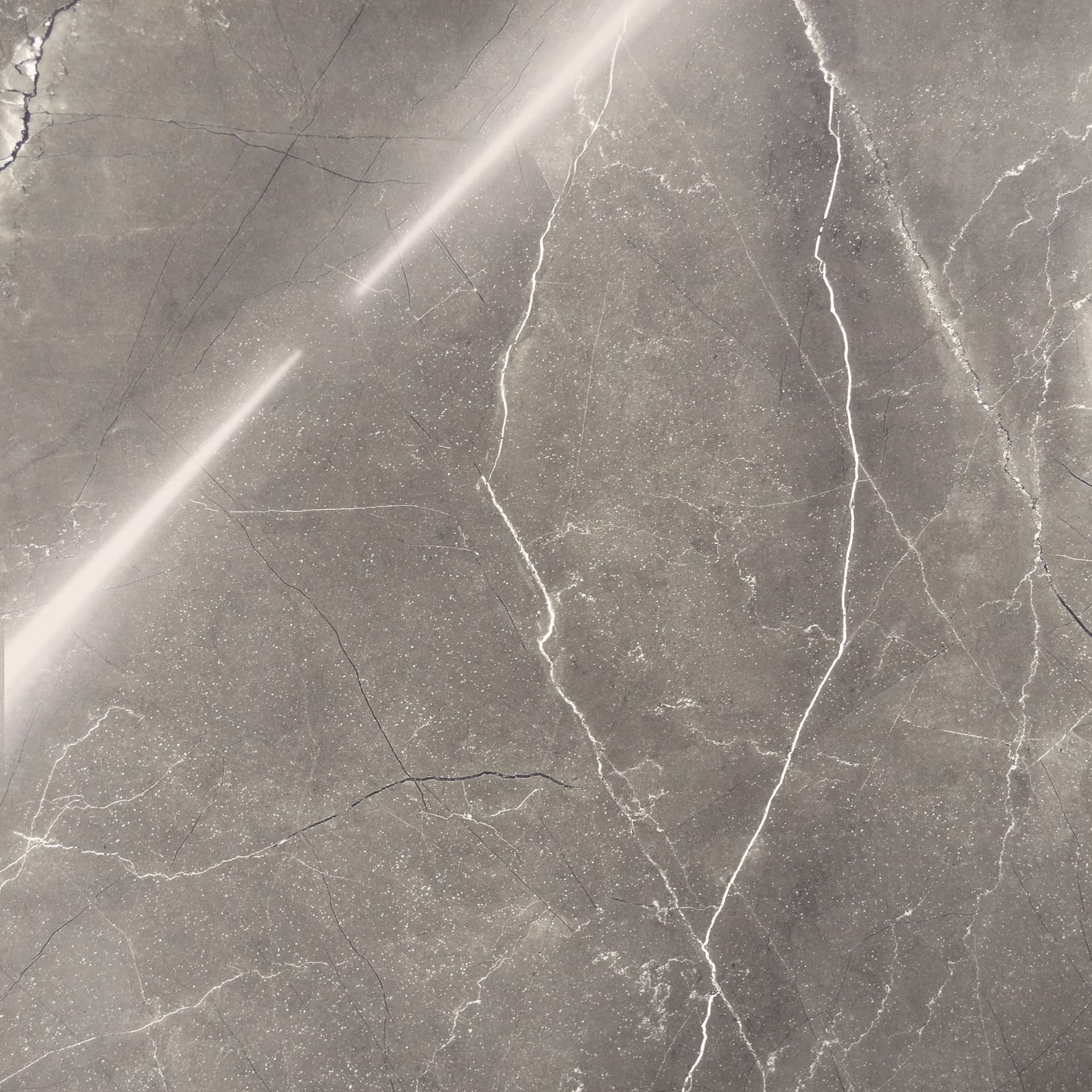 PULPIS NERO — фото 14