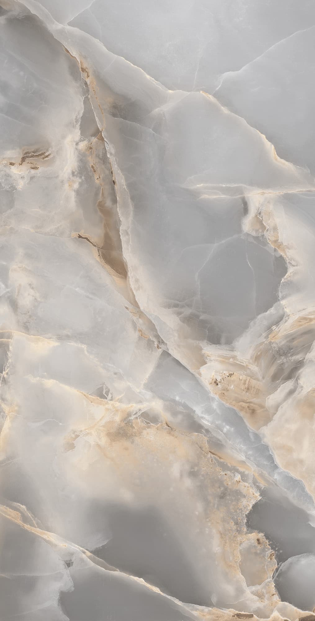 ONYX ROYAL — фото 8