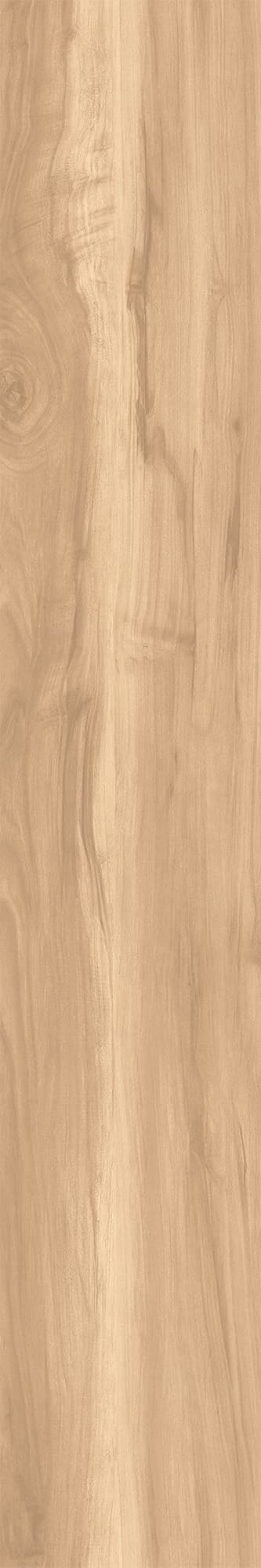 FOSSIL WOOD BRICH — фото 7