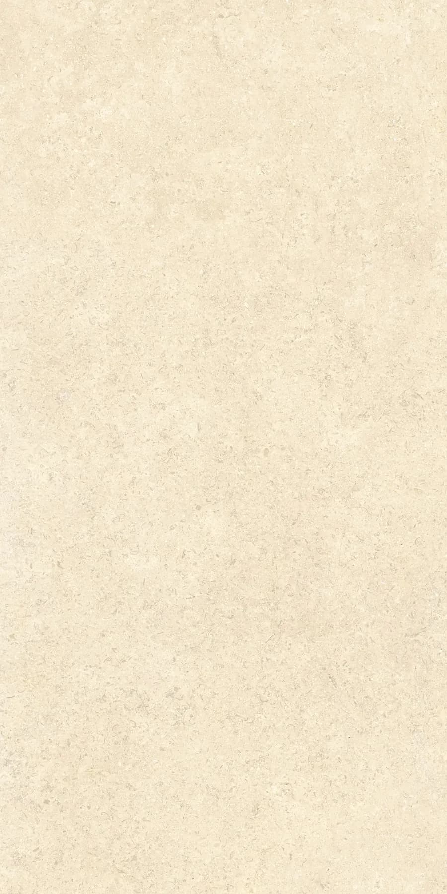 Керамогранит K948598R0001VTER SandStone Песочный Матовый R10A Ректификат 60х120 — фото 2