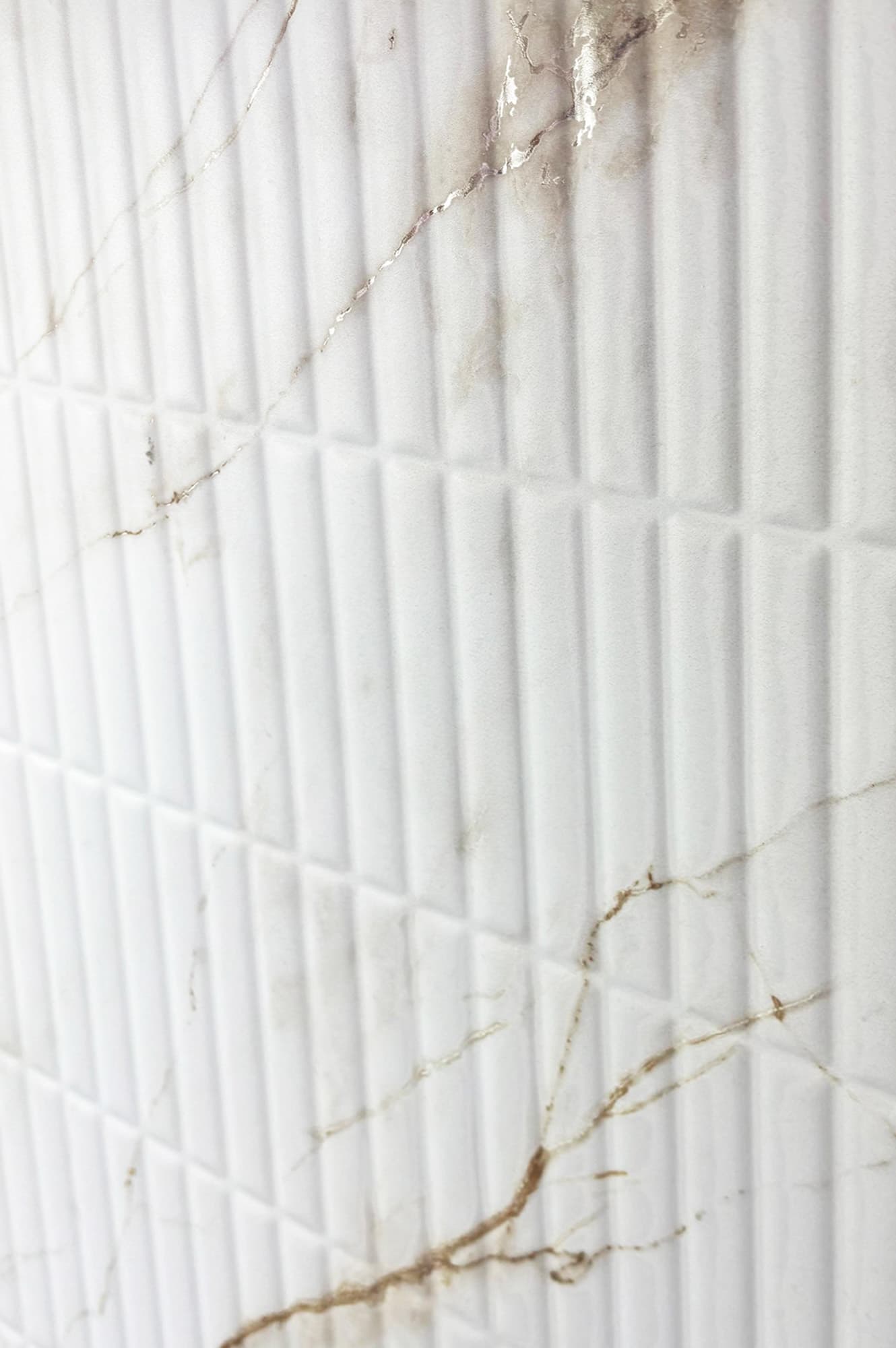 SELVA GOLD DECOR — фото 10