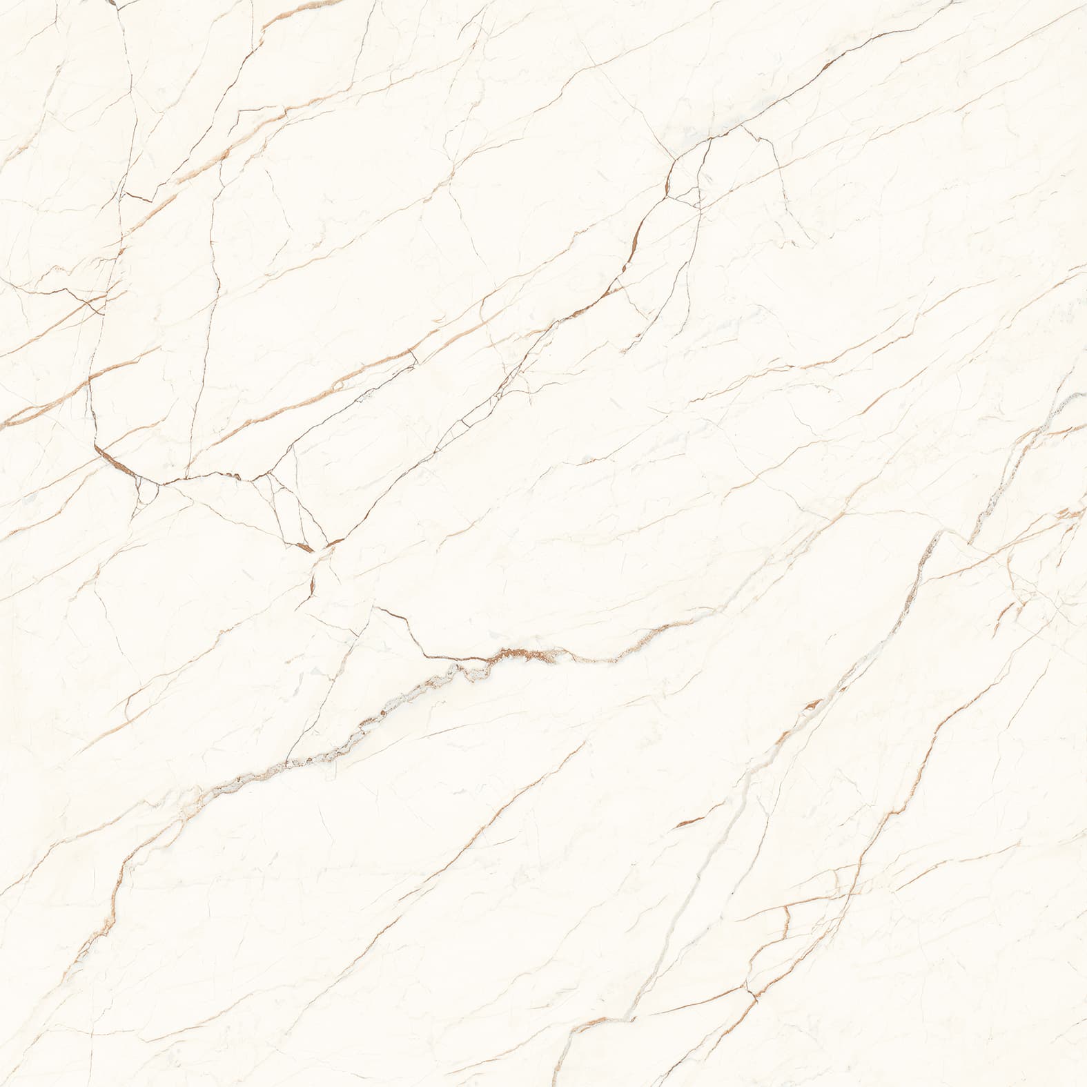 CEASAR — фото 4