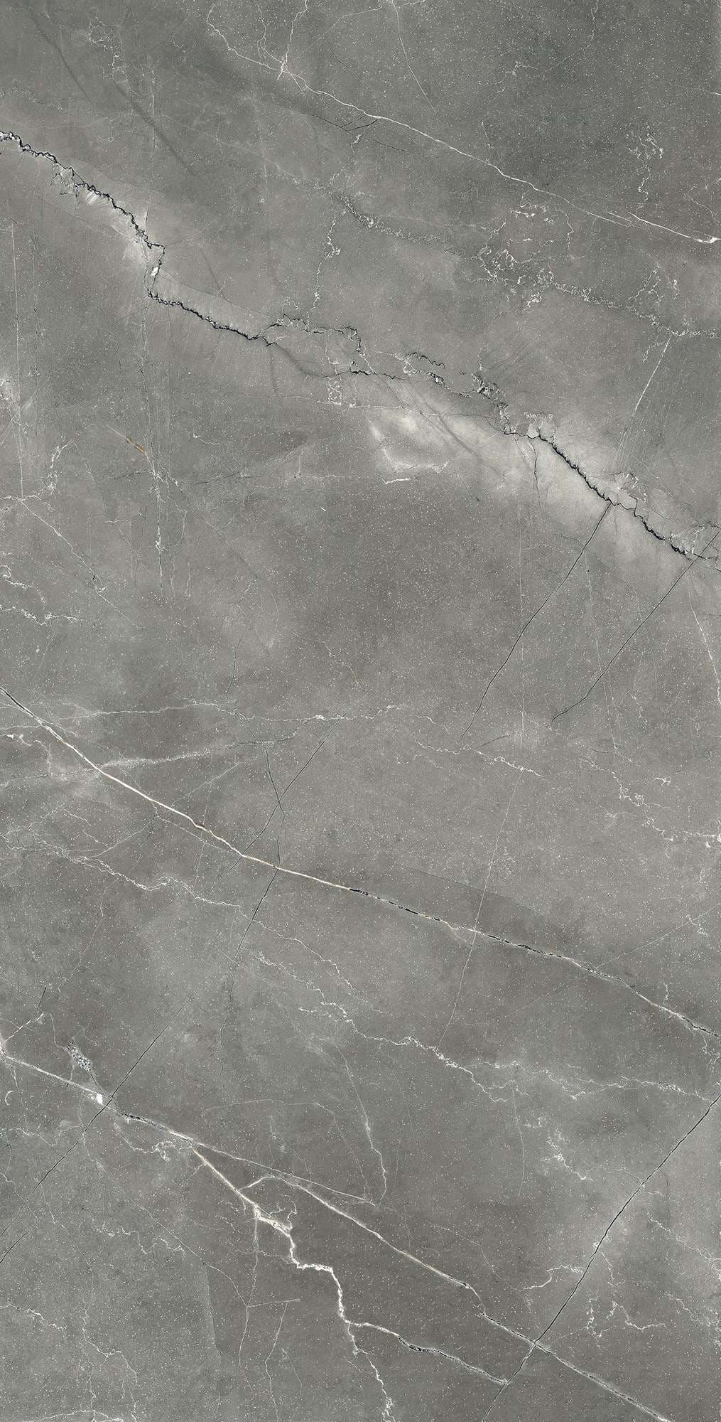 PULPIS NERO CARVING — фото 7