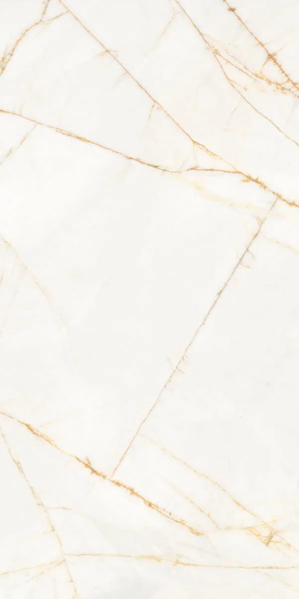 Керамогранит PF60017518 Supreme Hedonism Golden Spider Nat R 60x120 — фото 11