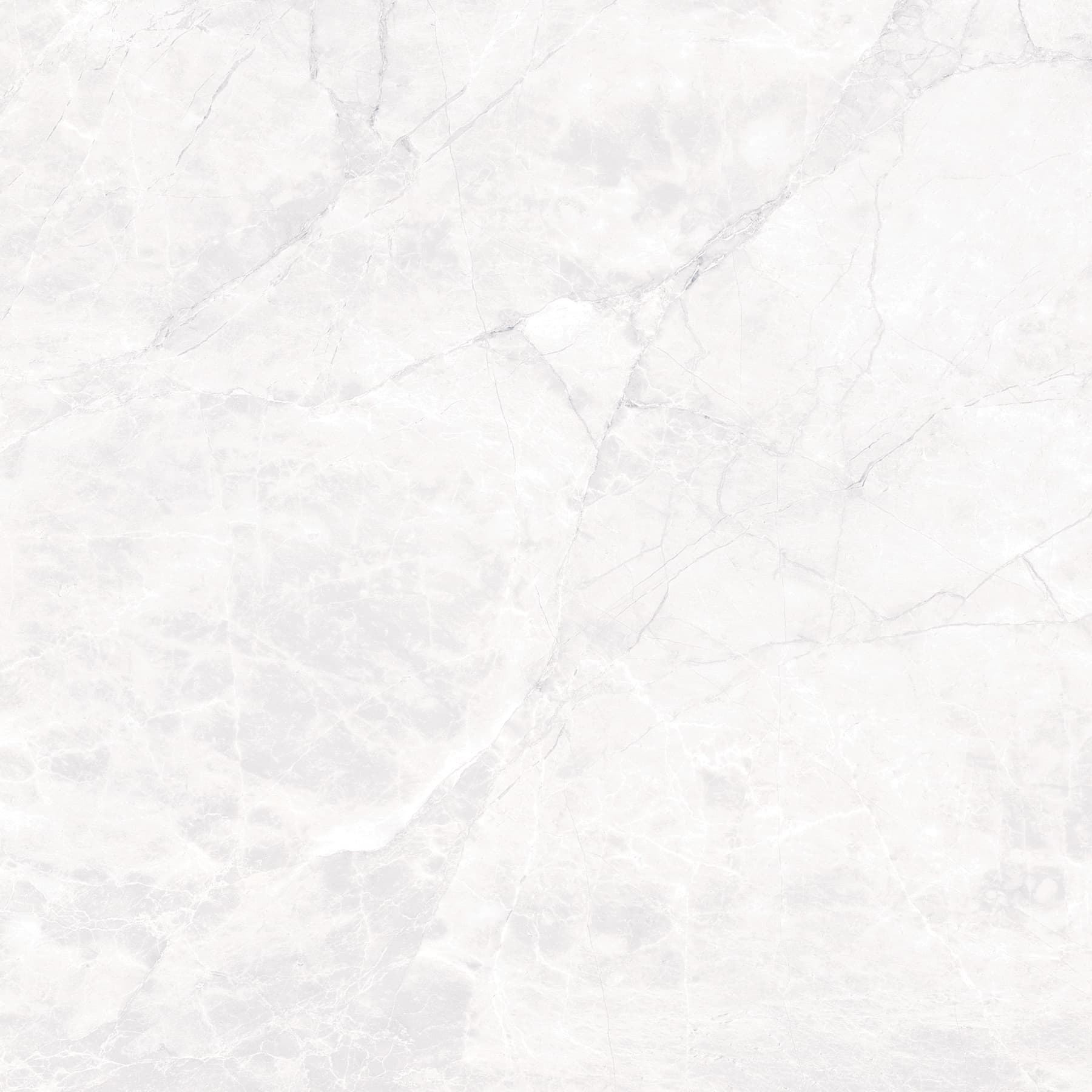 ARCTIC WHITE — фото 8