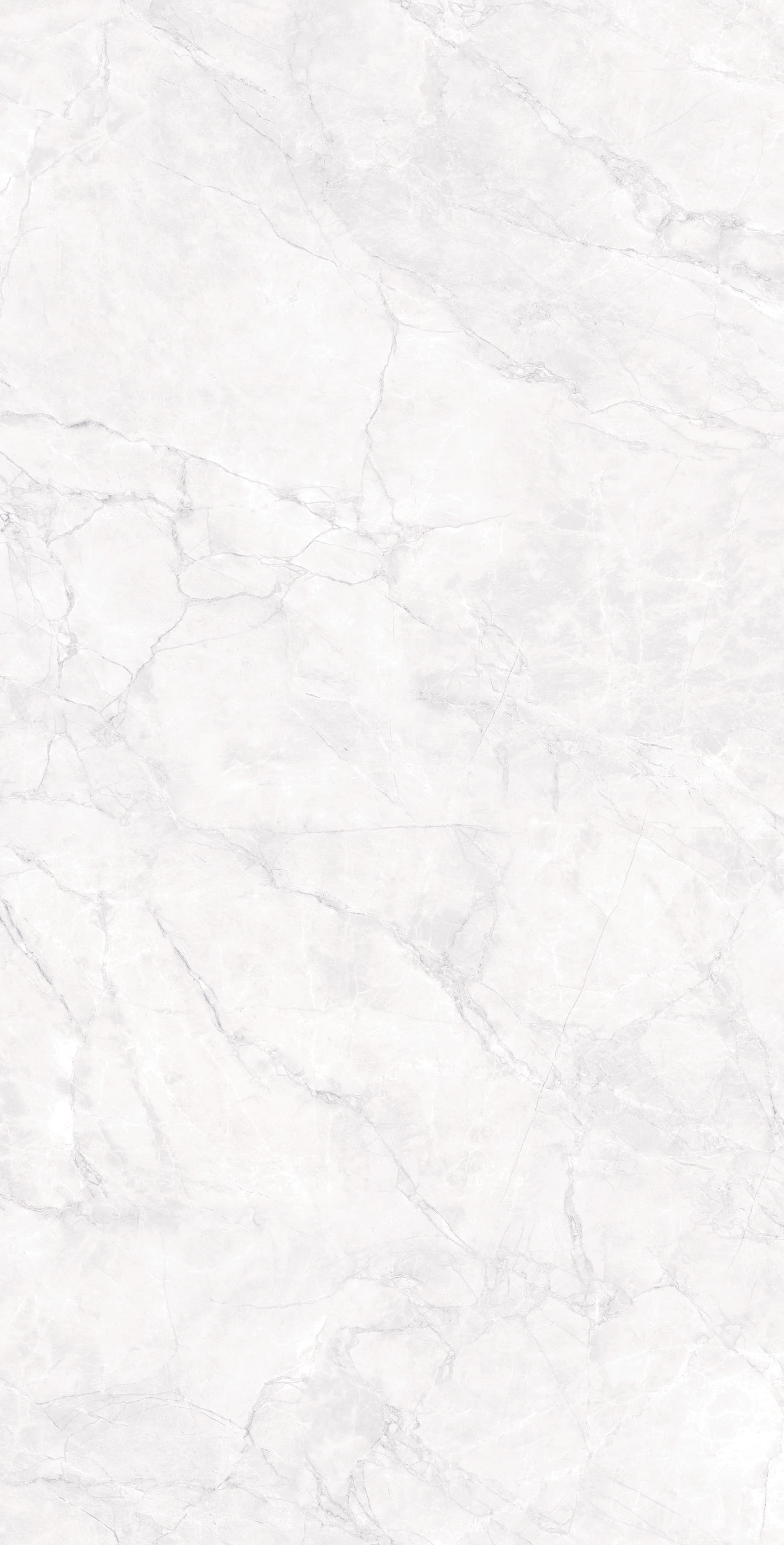 ARCTIC WHITE CARVING — фото 11