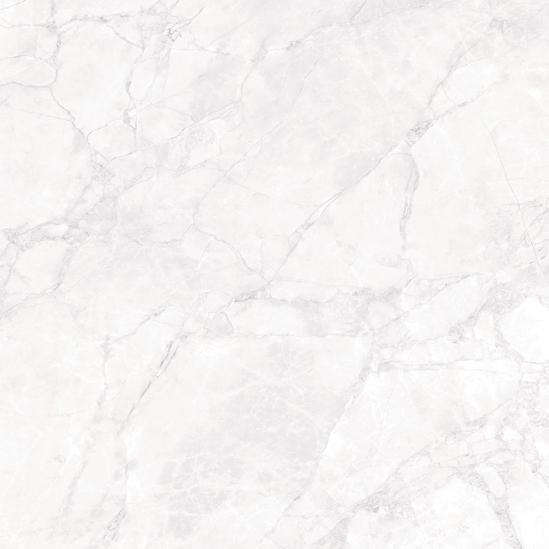 ARCTIC WHITE — фото 6