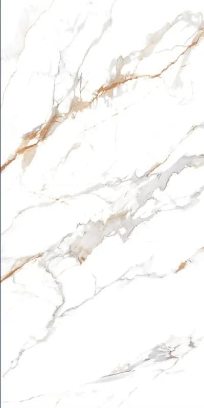 Керамогранит Delhi Polished Gold Carving 60x120 — фото 5