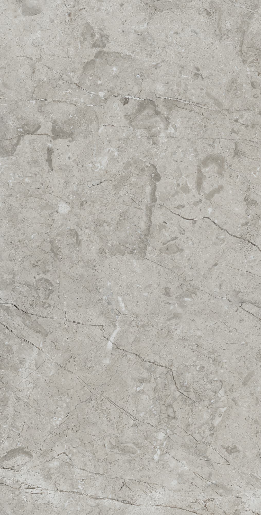 MARCUS GRACIA — фото 5