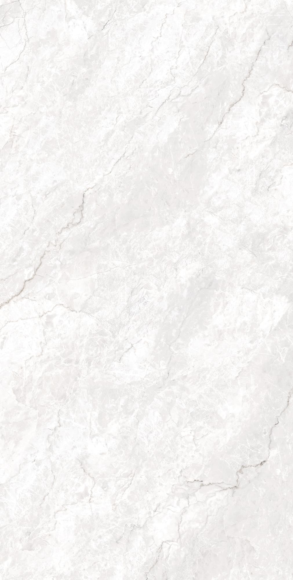 FERROL WHITE — фото 6