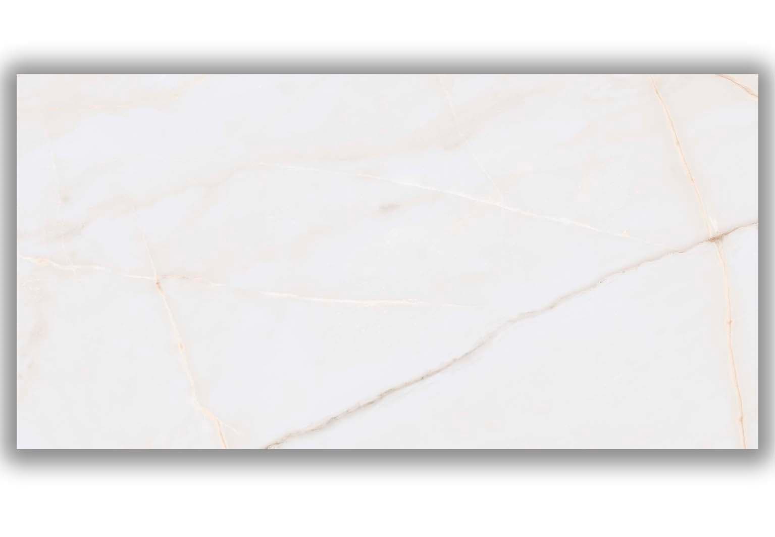 Керамогранит Essenza PW R 60x120