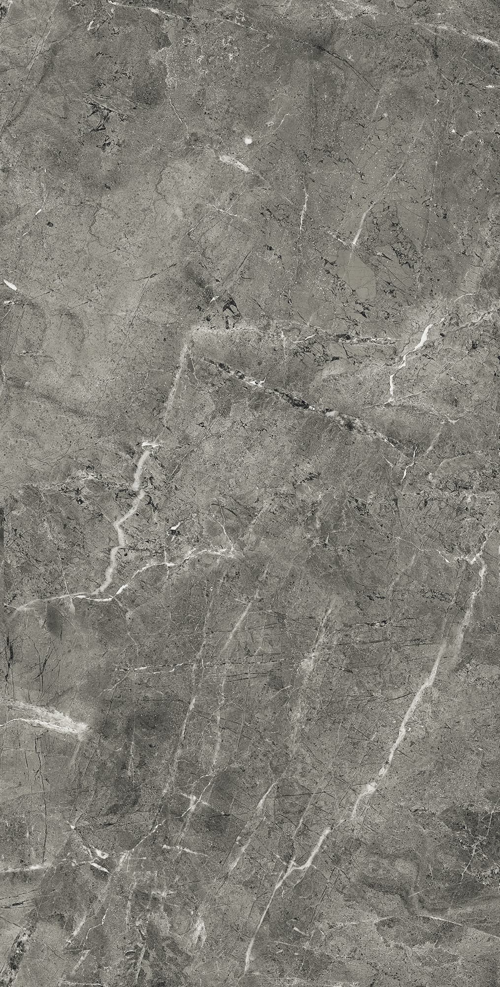 FLORENCIA GREY — фото 8