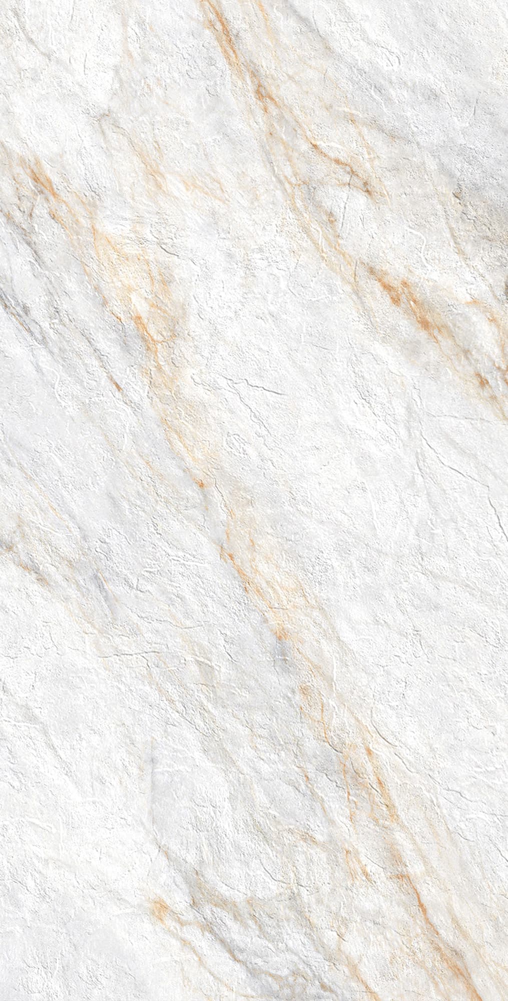 LAZIO PEAR — фото 9