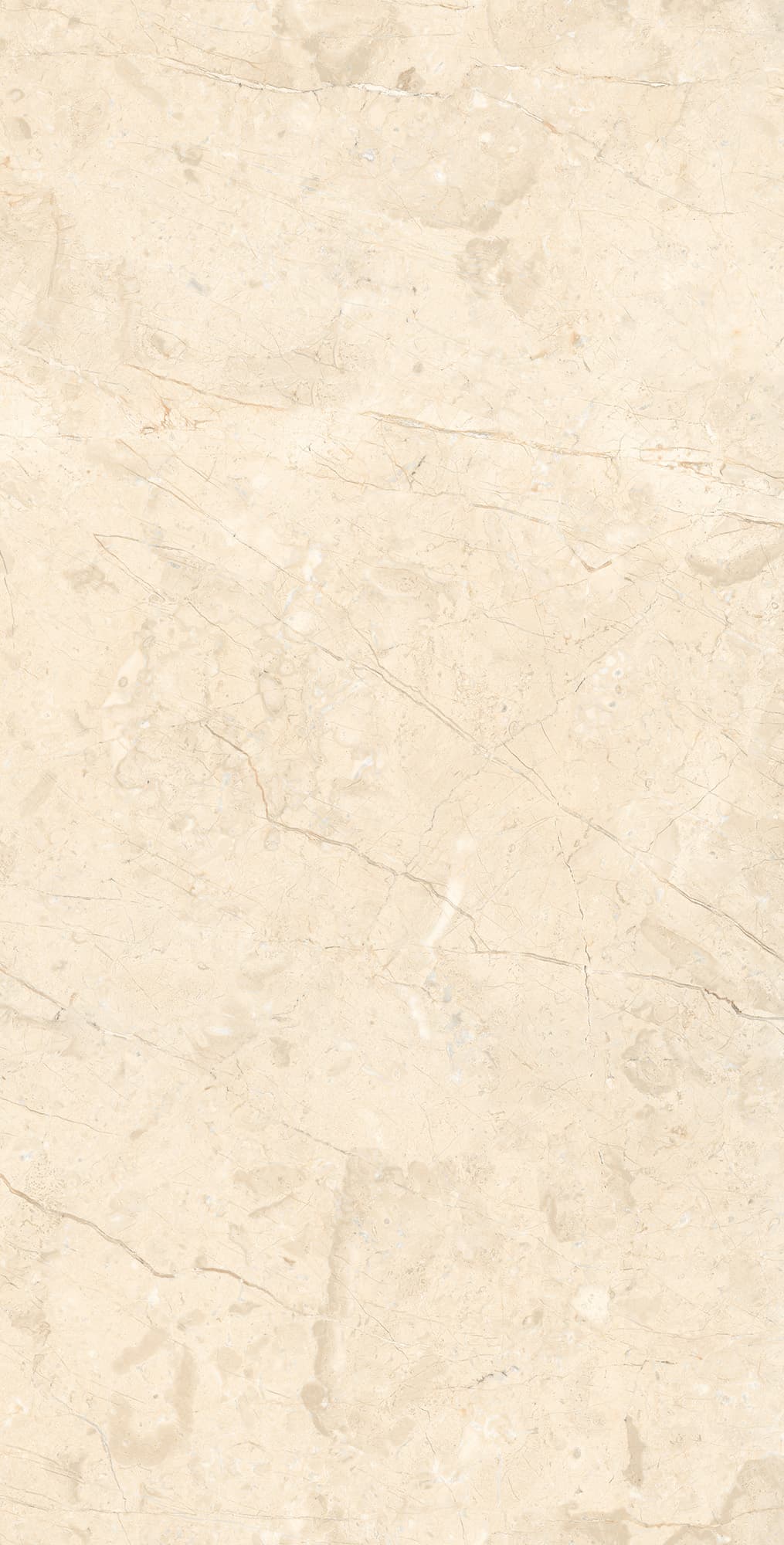 MARCUS CREMANO — фото 6