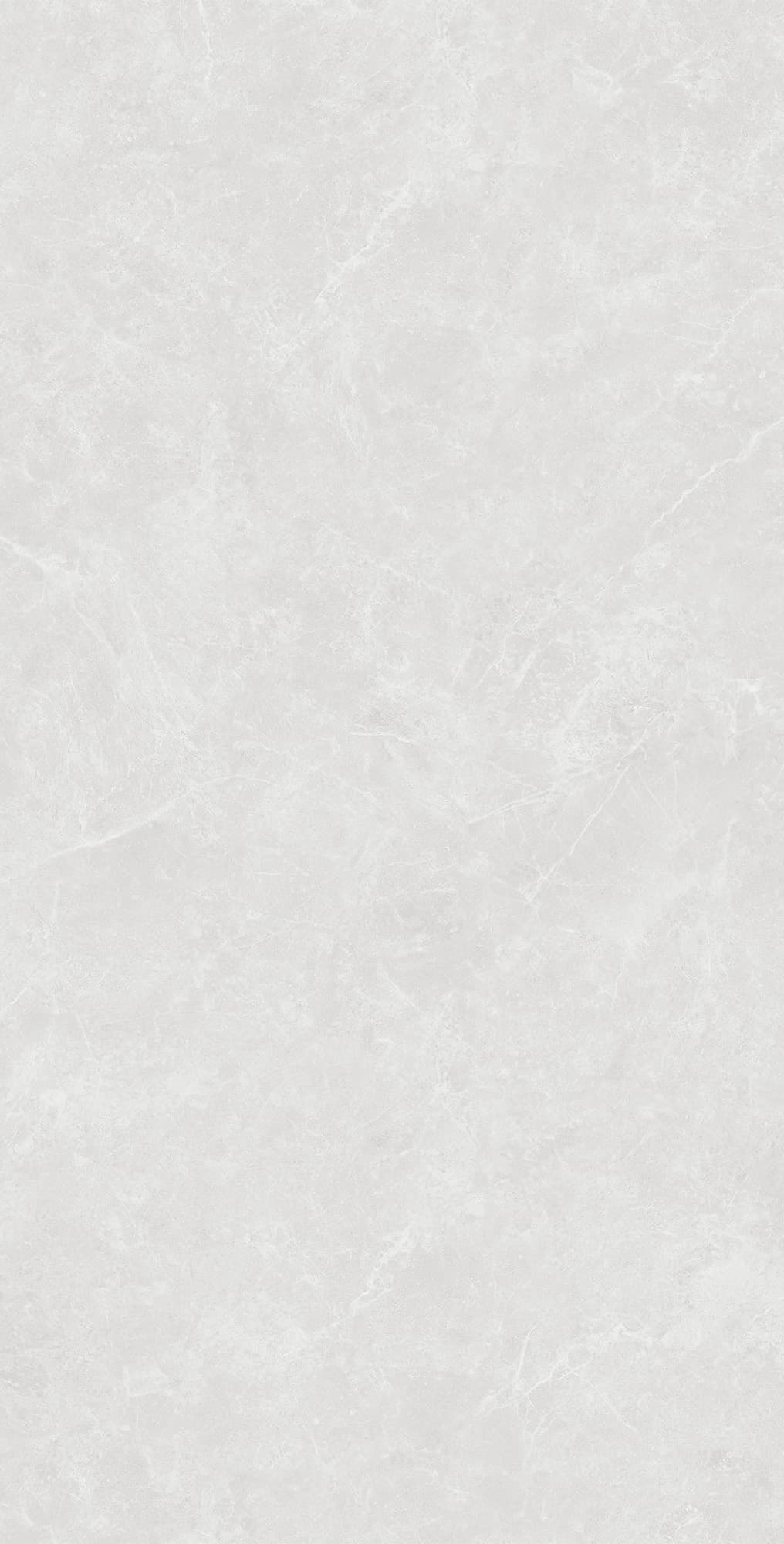 OVIEDO SILVER SOLIDO — фото 8