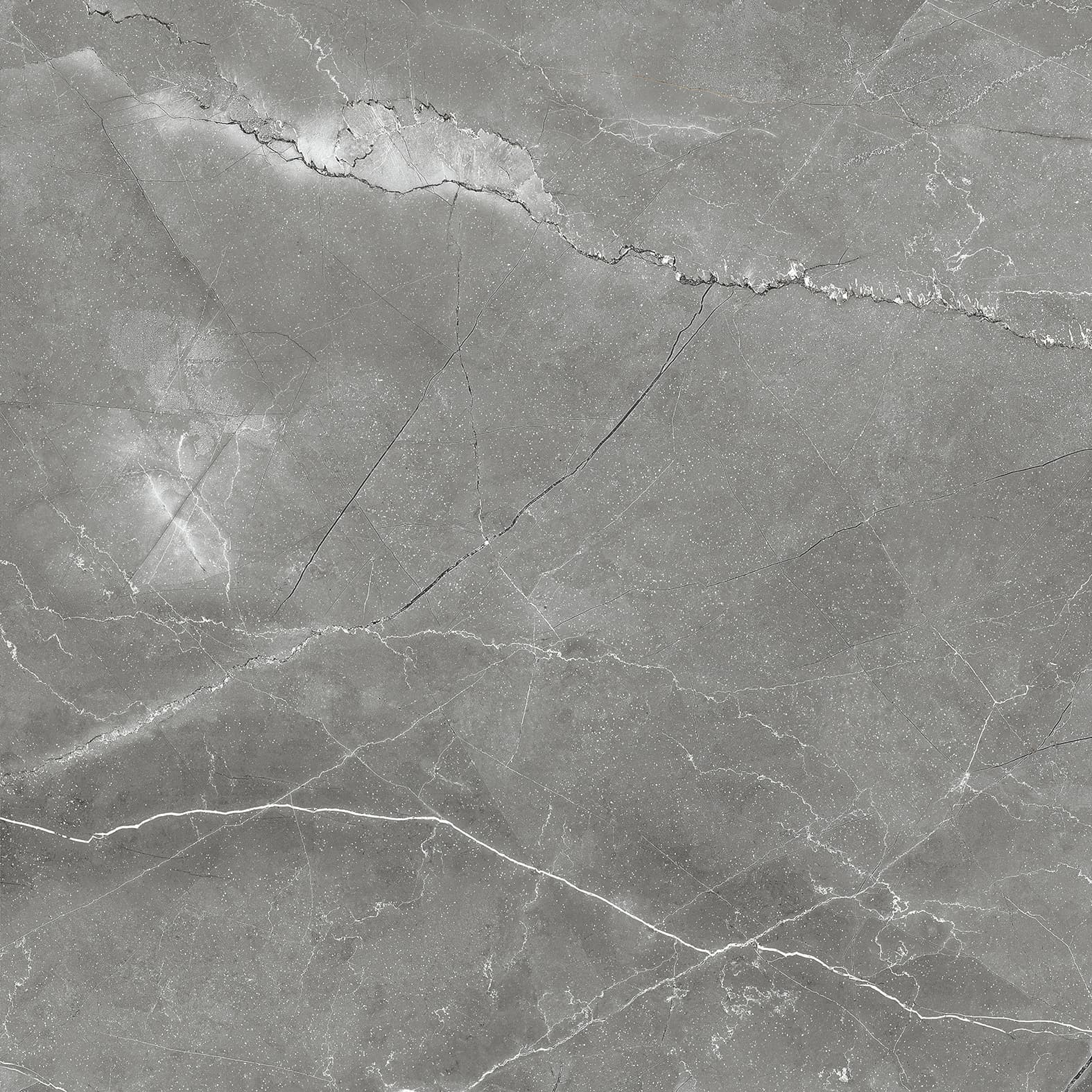 PULPIS NERO — фото 7