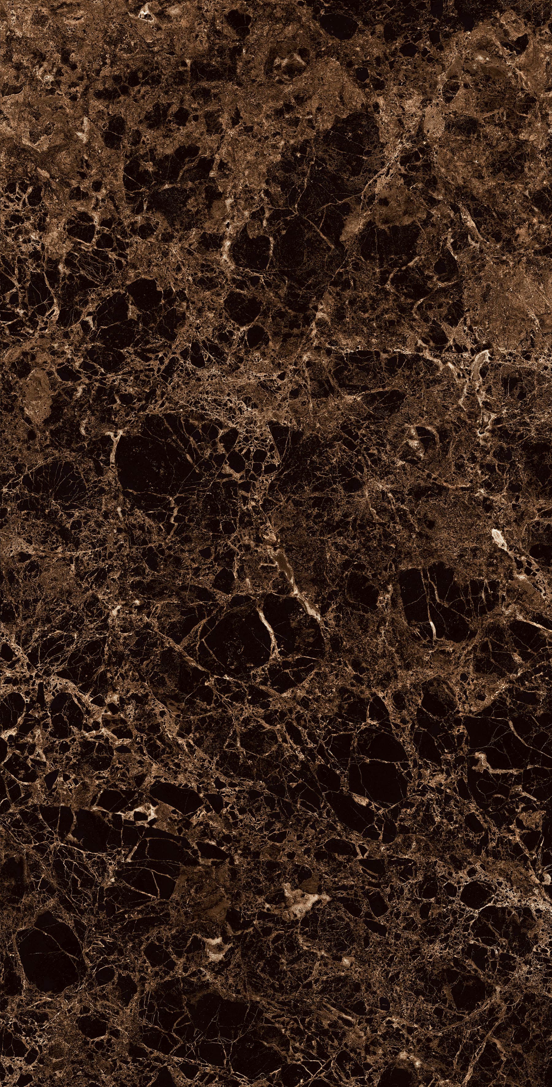 VATICAN EMPERADOR — фото 8