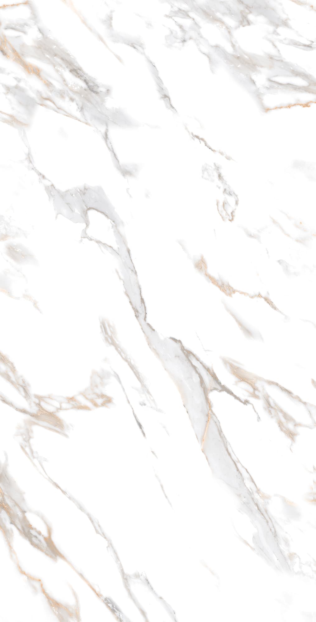 CALACATTA GOLD — фото 5