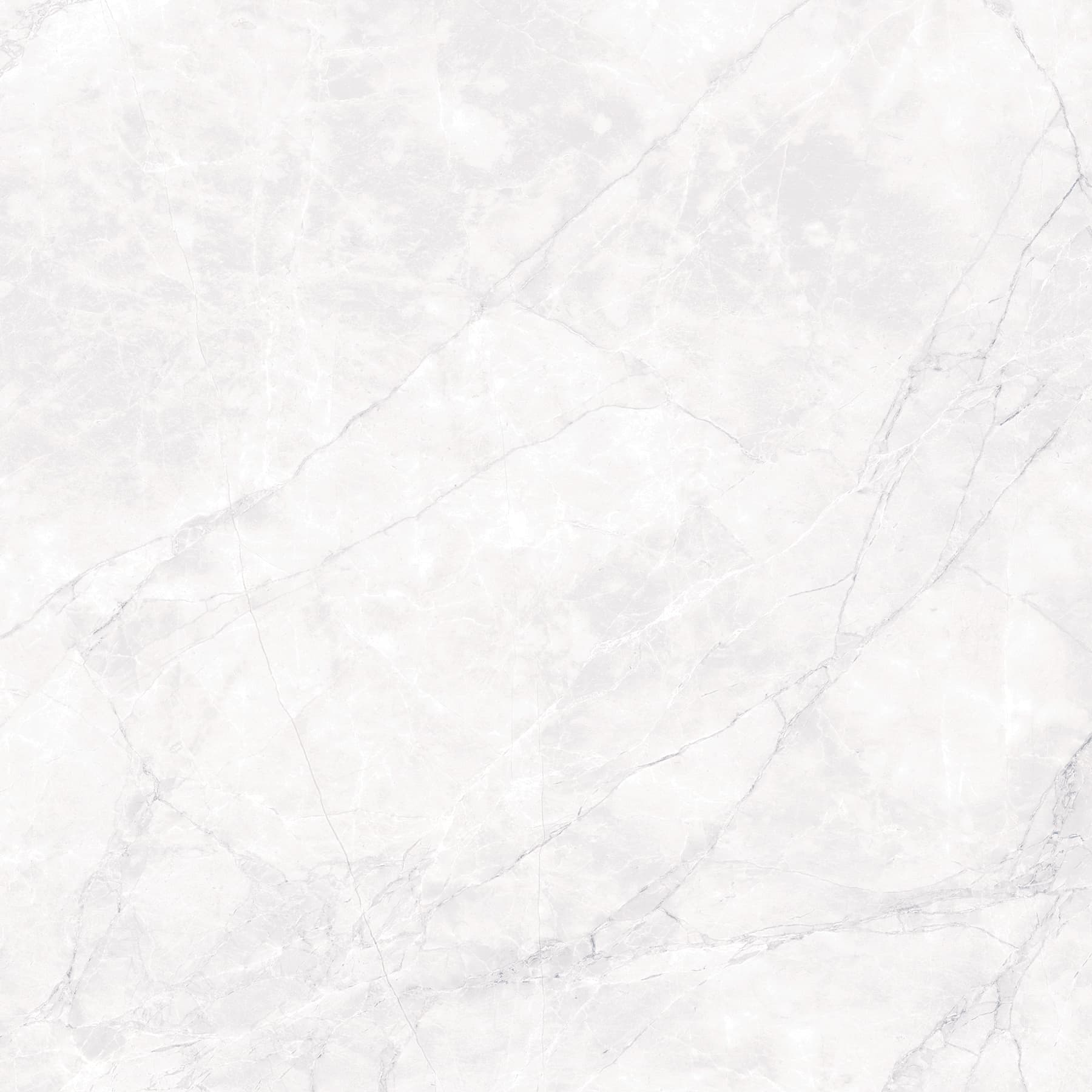 ARCTIC WHITE — фото 7