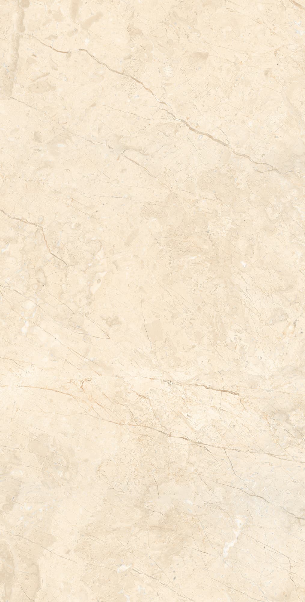 MARCUS CREMANO — фото 3