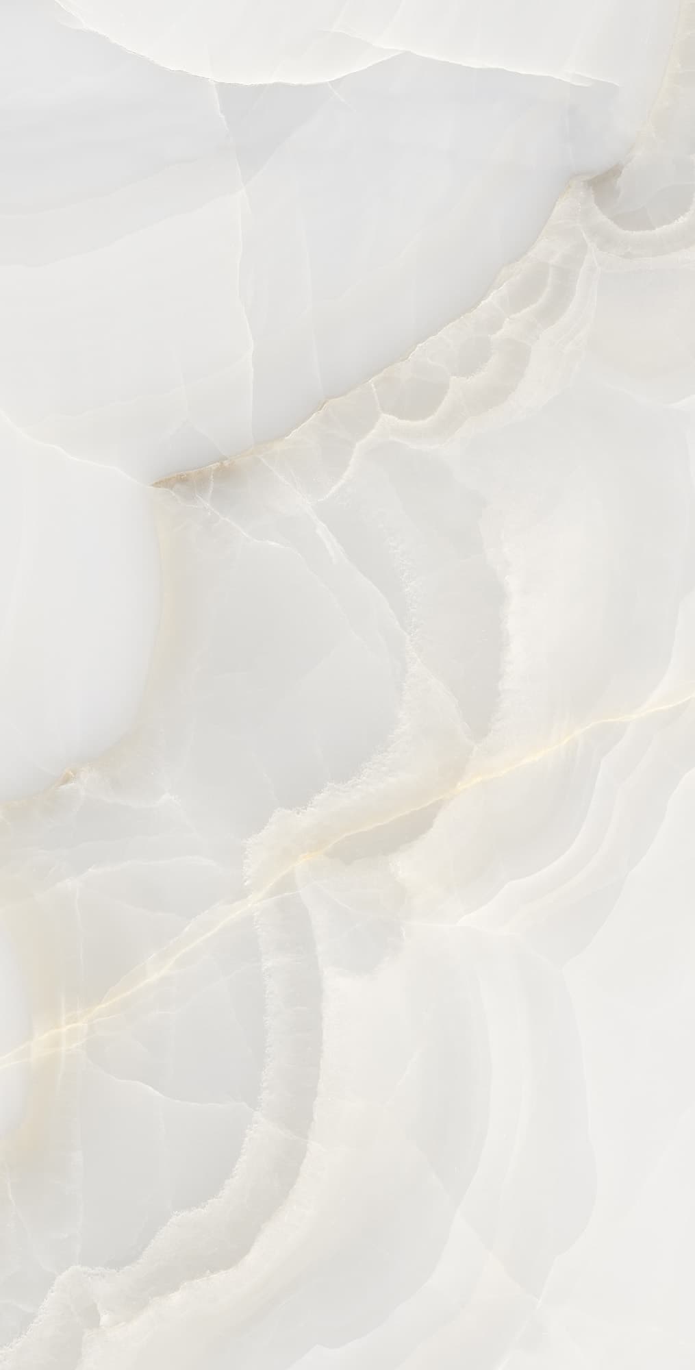 ONYX MAX — фото 7