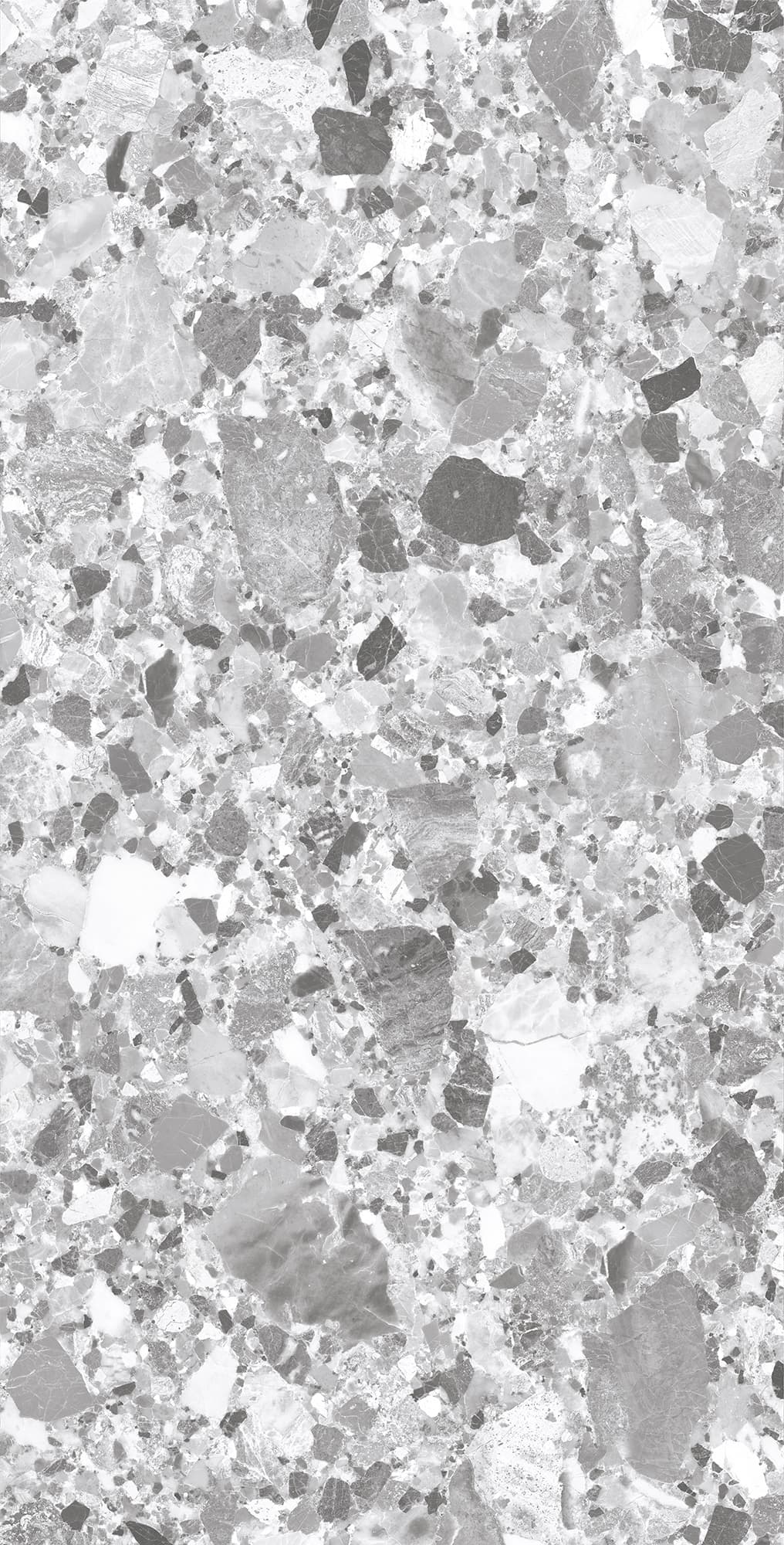 TERRAGONA SILVER SOLIDO — фото 8