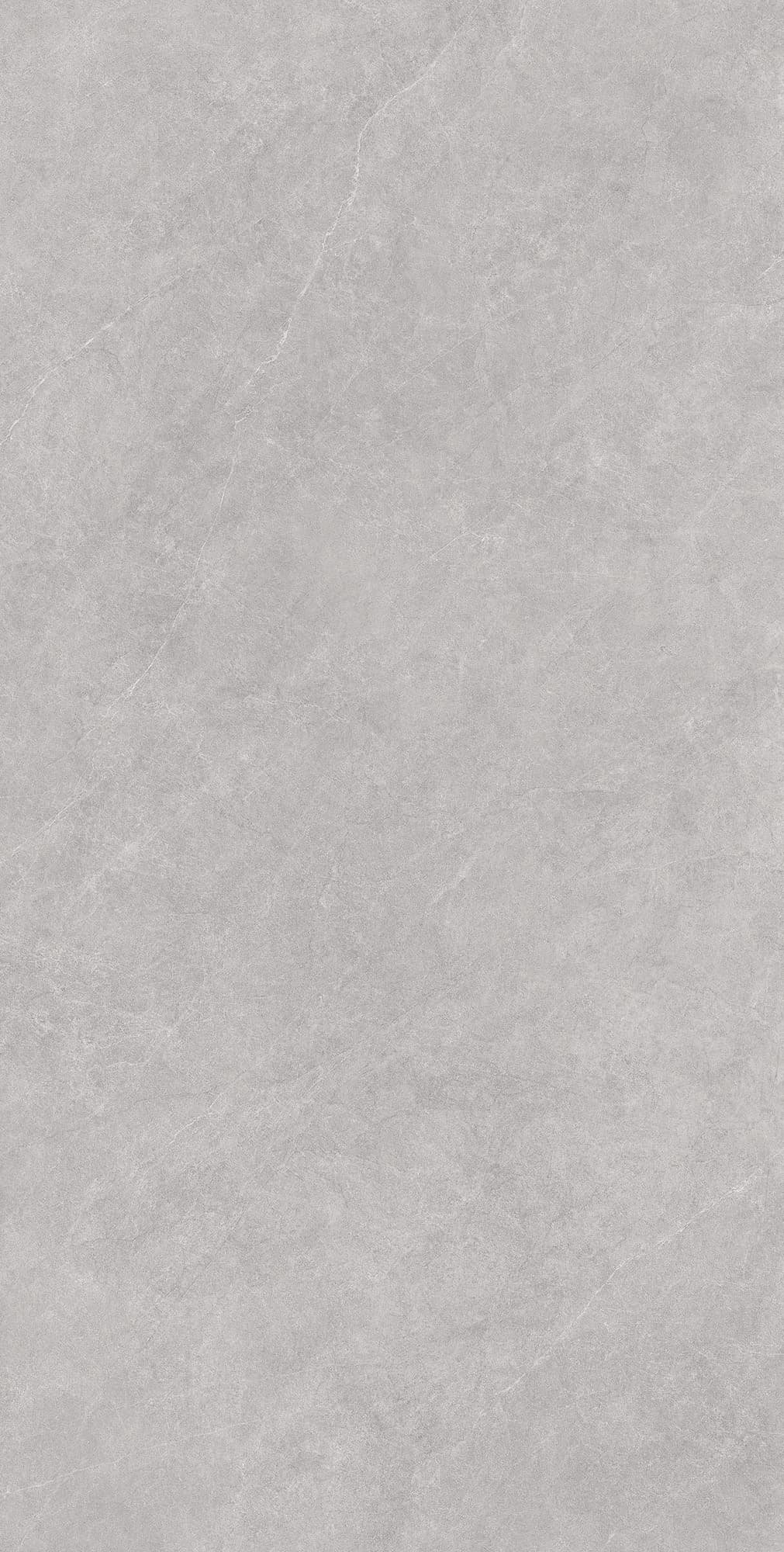 LISTELLO BIANCO — фото 6