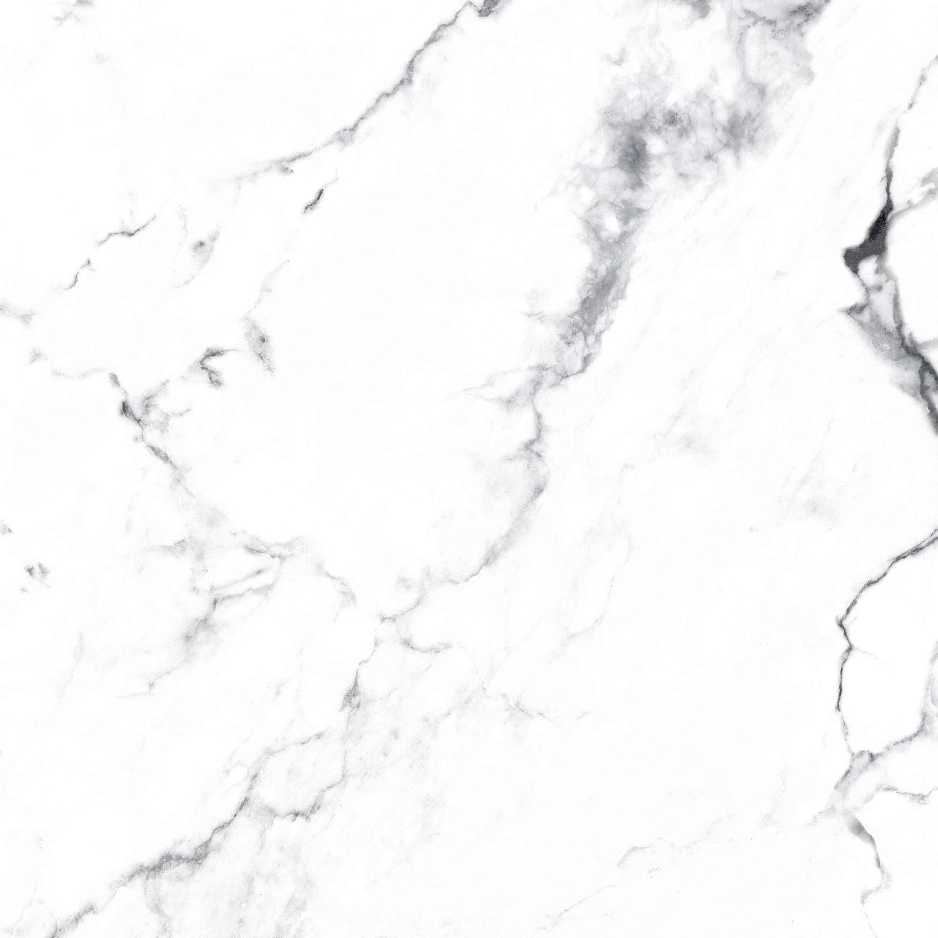 BORGHINI SILVER — фото 21