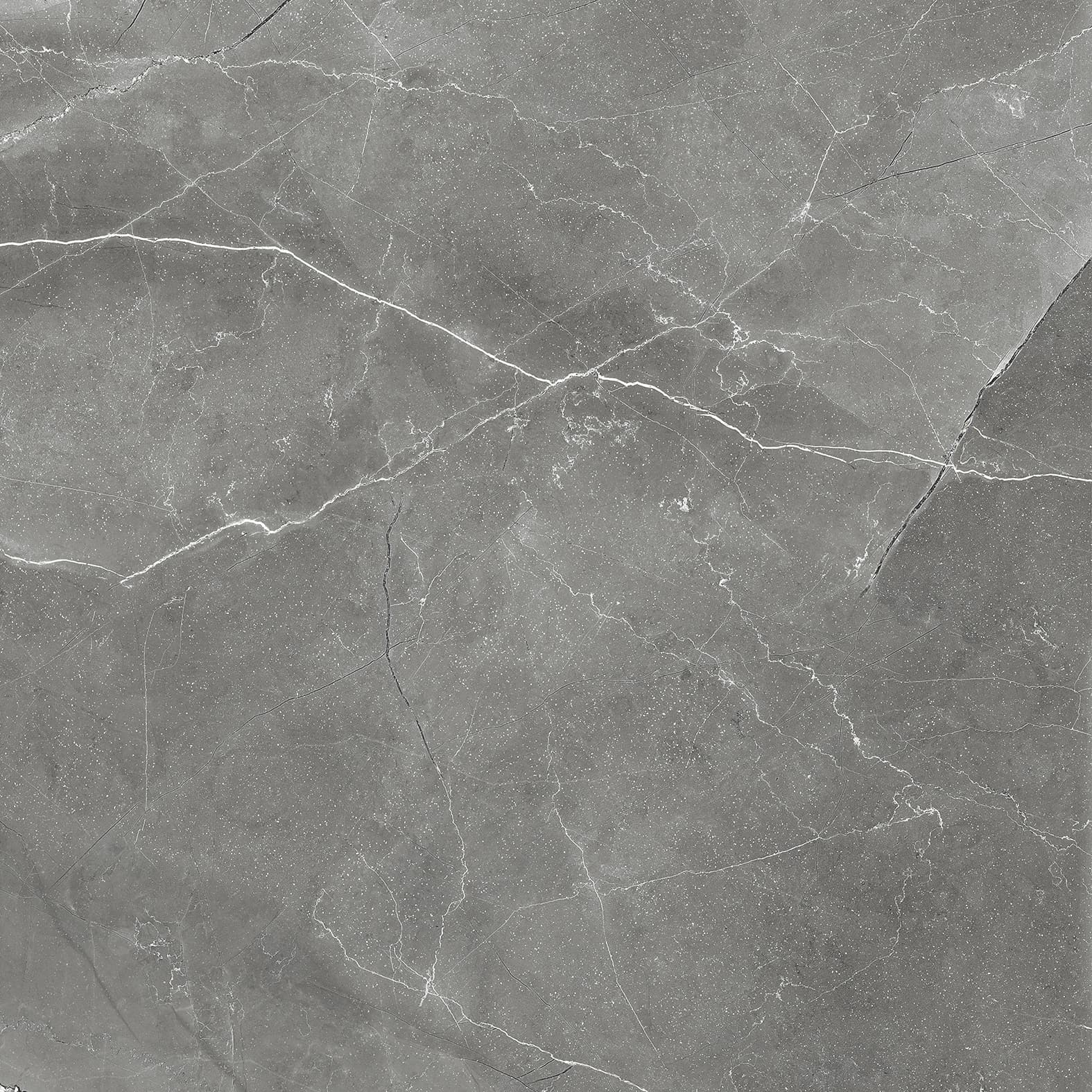 PULPIS NERO — фото 10