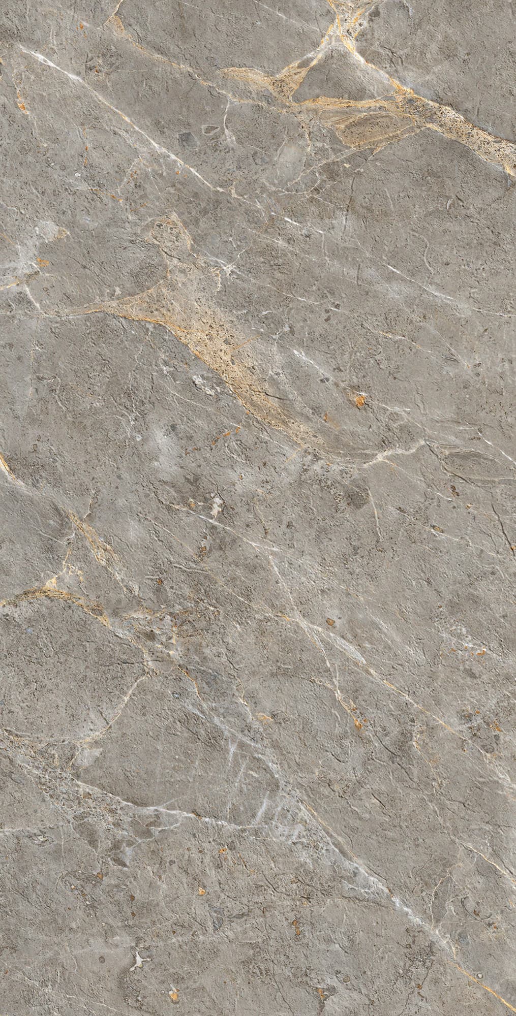 ROYAL GREY — фото 7