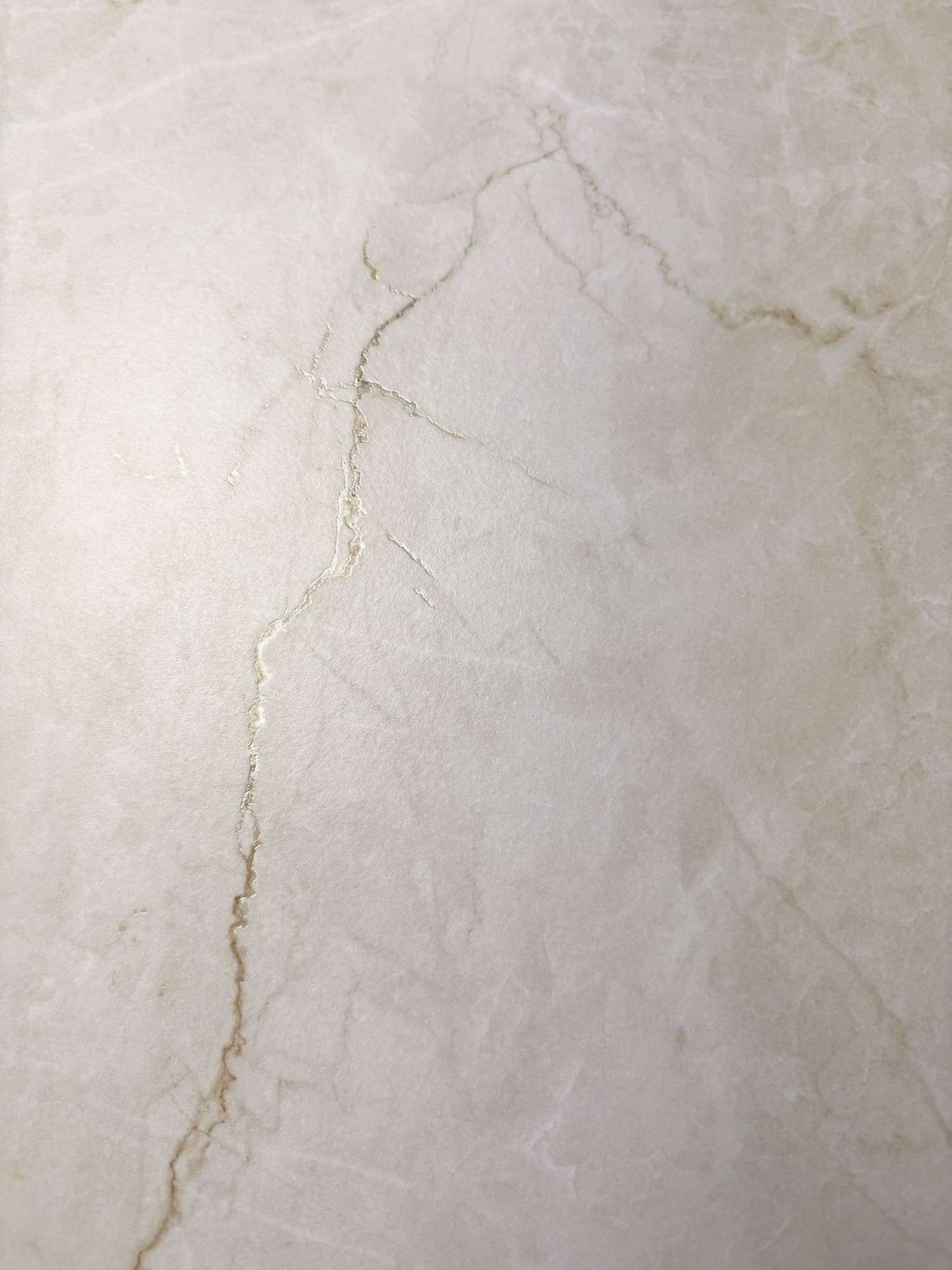 FERROL PEARL — фото 7