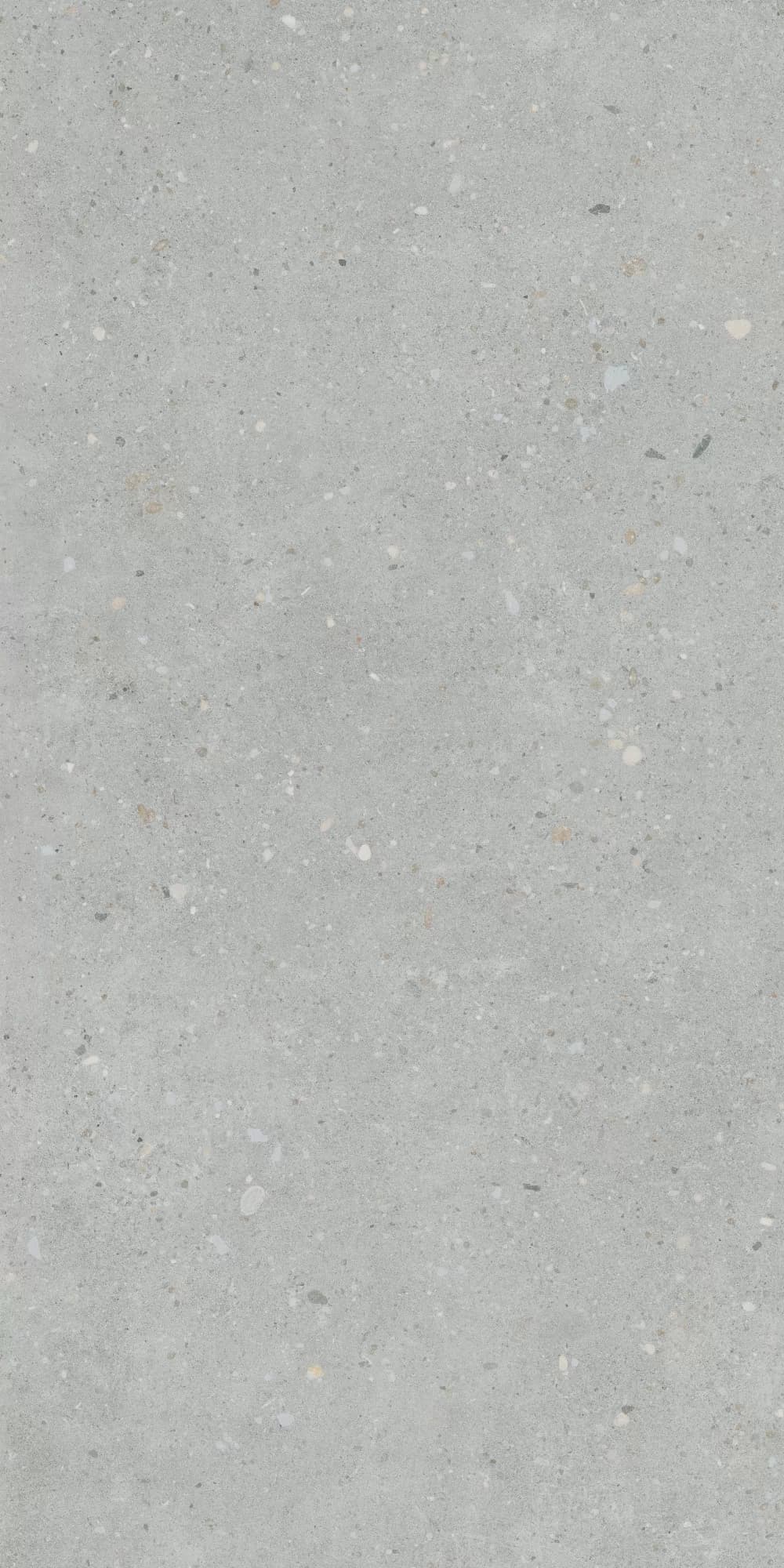 Керамогранит K947893R0001VTER Серый Матовый R10A Ректификат 60x120 — фото 4