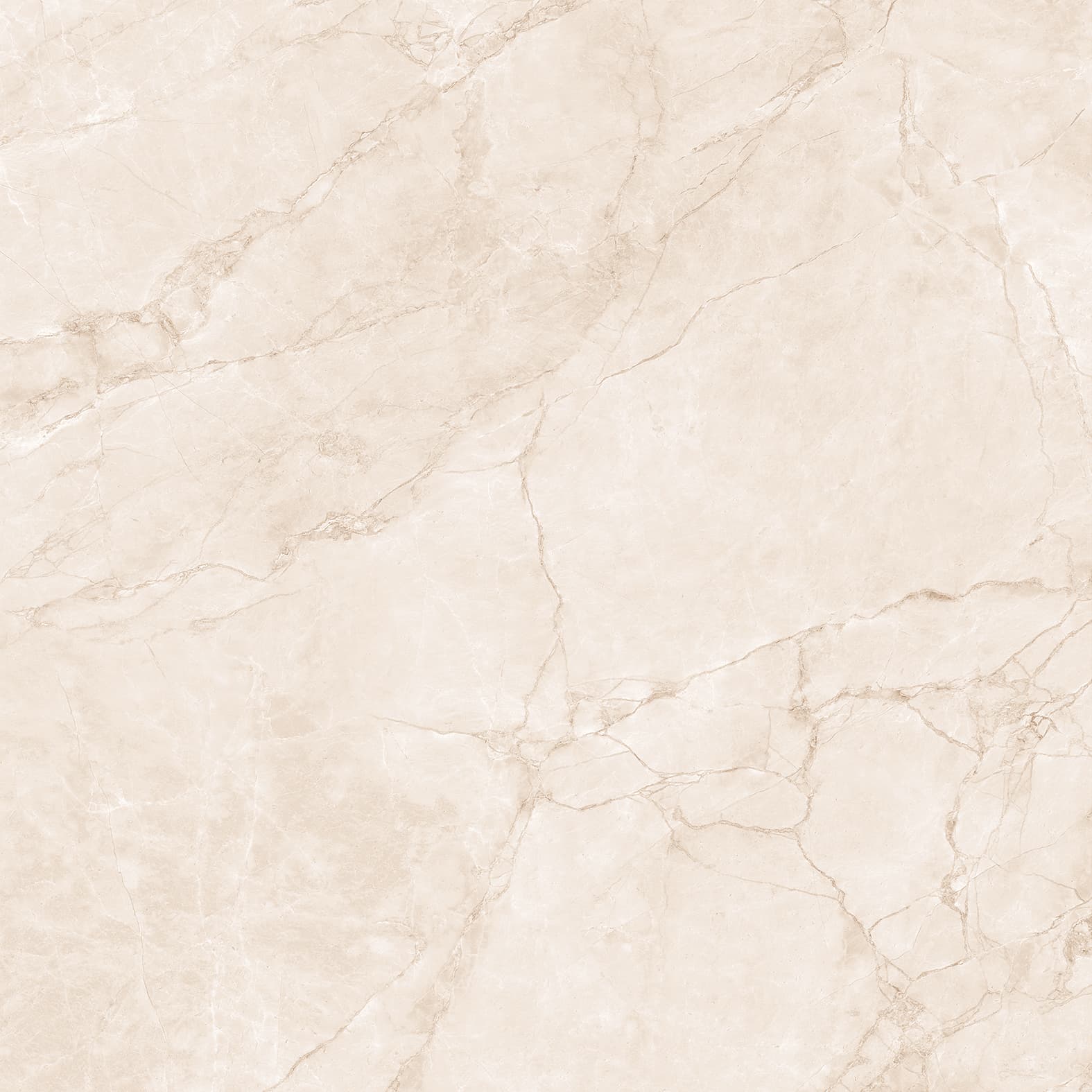 ARCTIC PEARL — фото 12