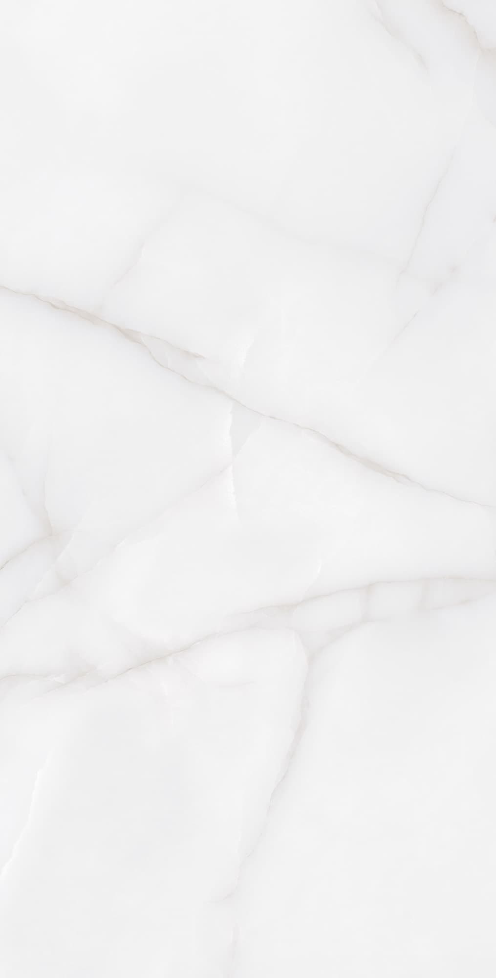 FEATHER ONYX — фото 3