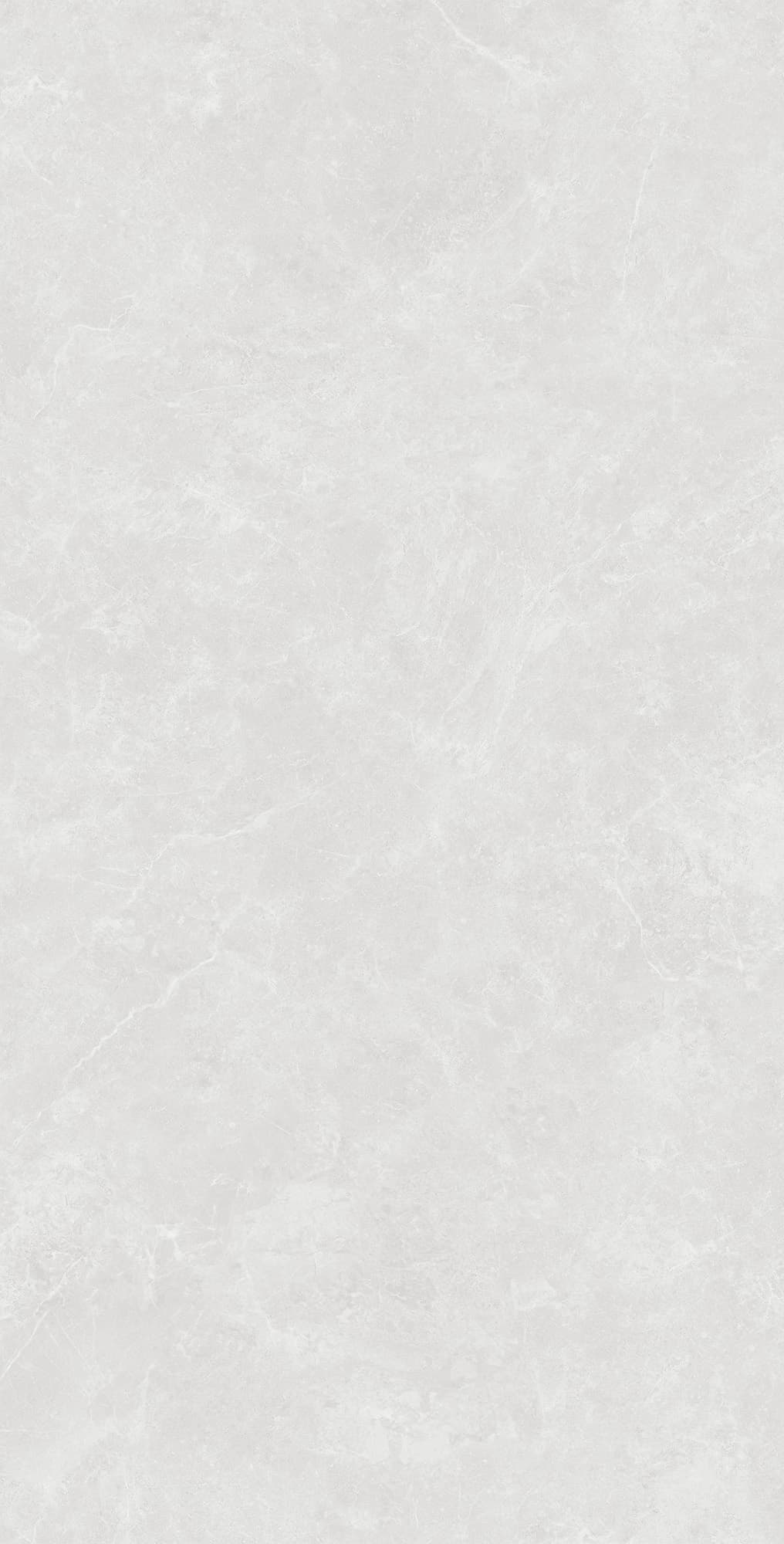 OVIEDO SILVER SOLIDO — фото 6