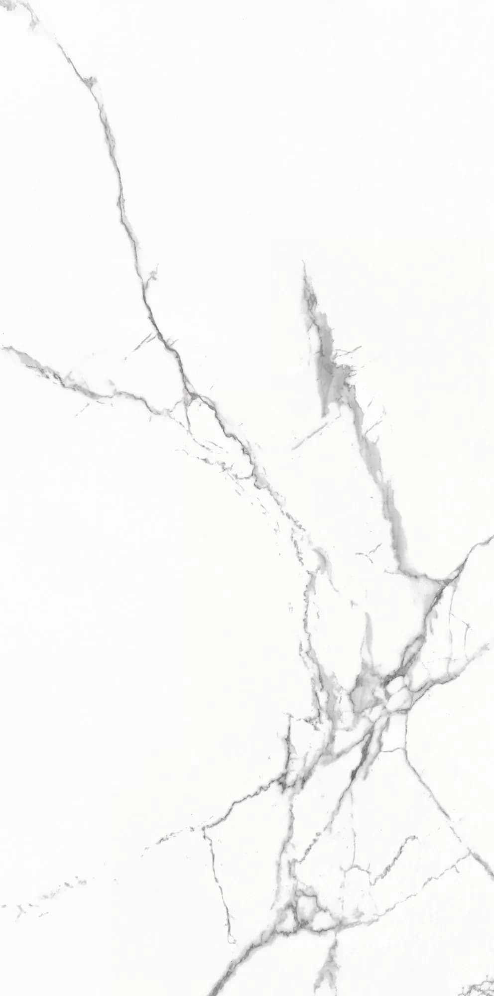 Керамогранит Statuario Venato Satin 60x120 — фото 2