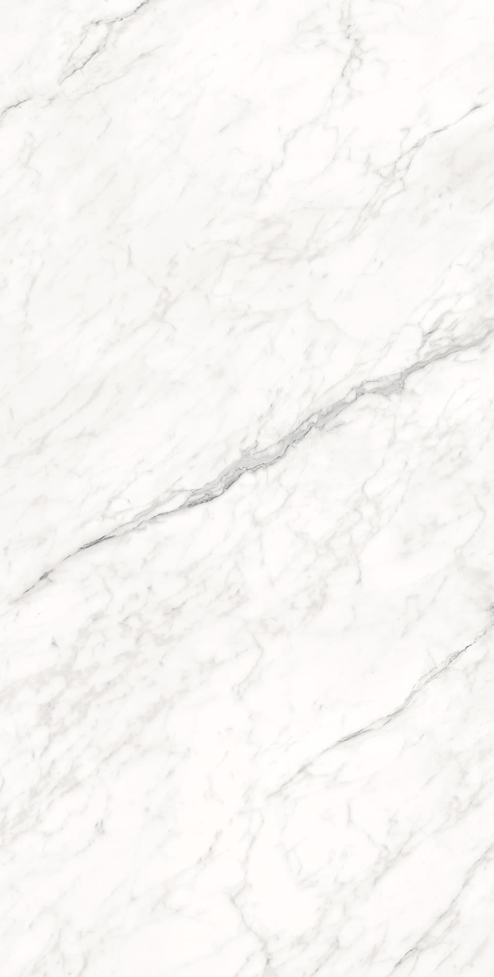 MONTESA WHITE — фото 9